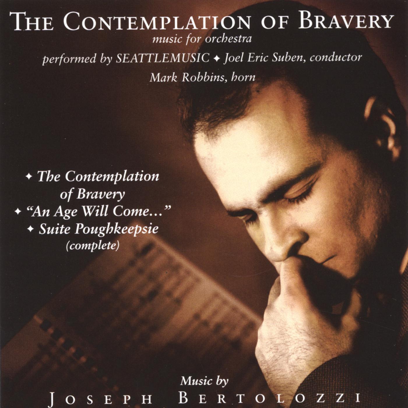 The Contemplation of Bravery