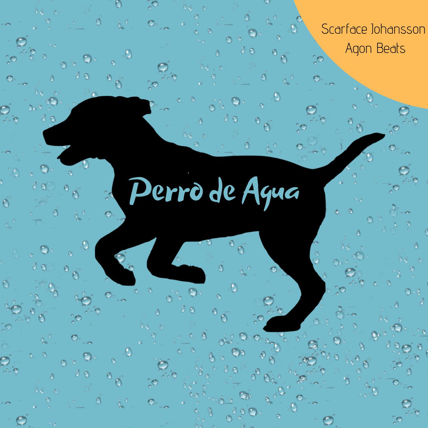 Perro de Agua