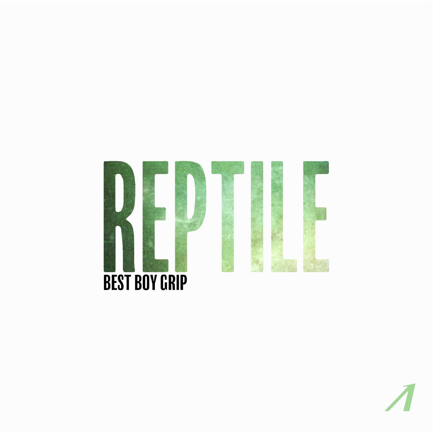 Reptile