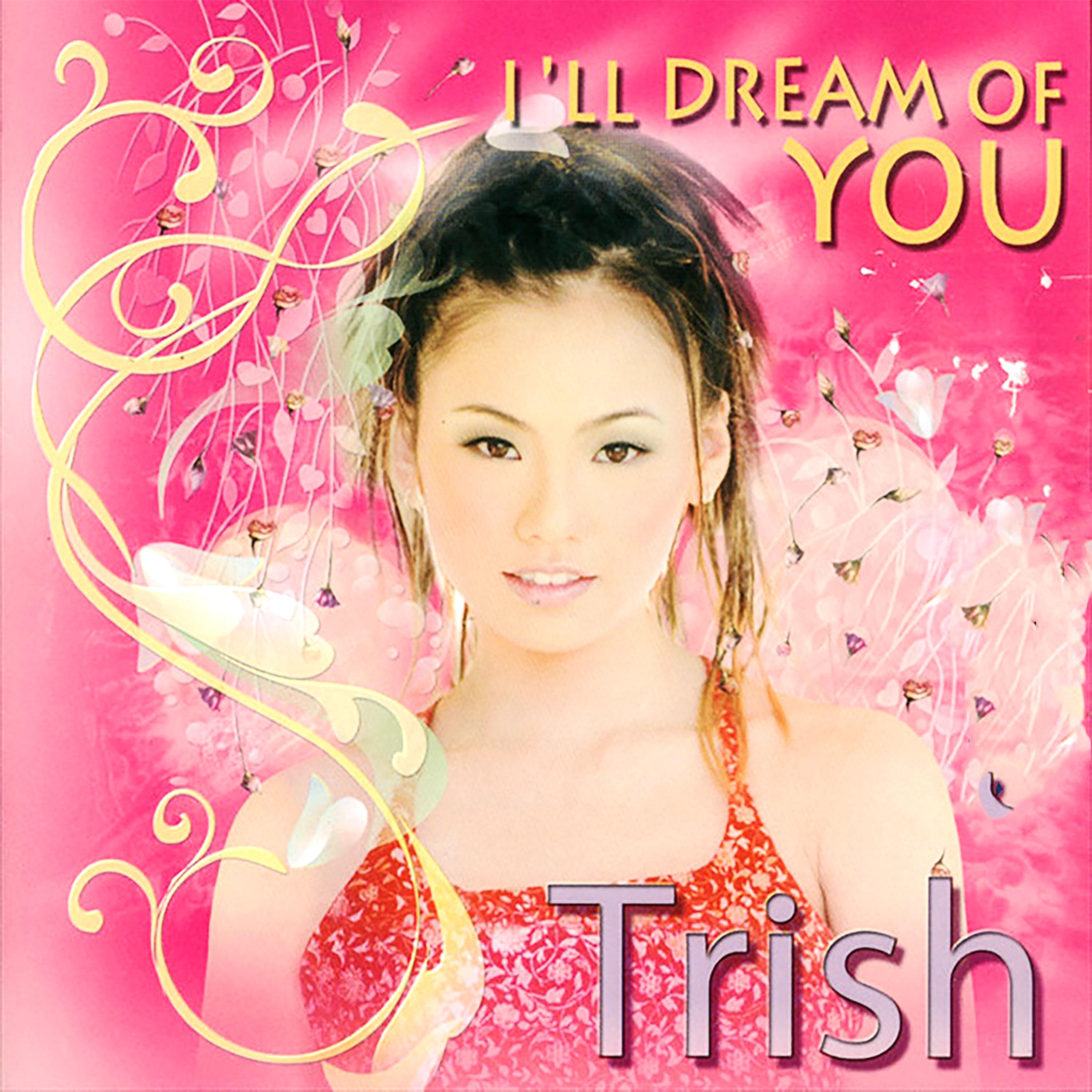 I'll Dream Of You (Asia CD 142)