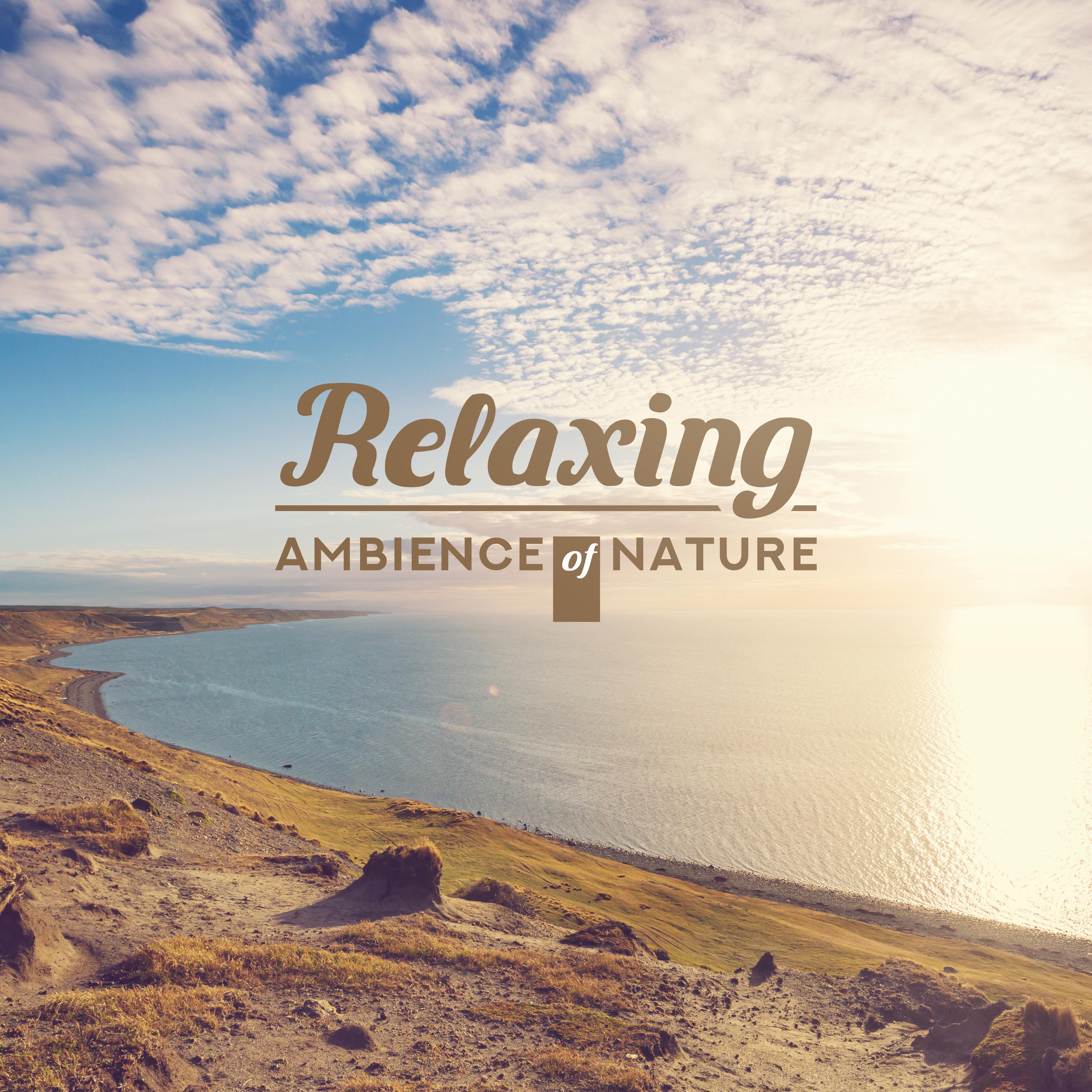 Relaxing Ambience of Nature - Immerse Yourself in Nature with Relaxing New Age Music with Natural Soundscapes