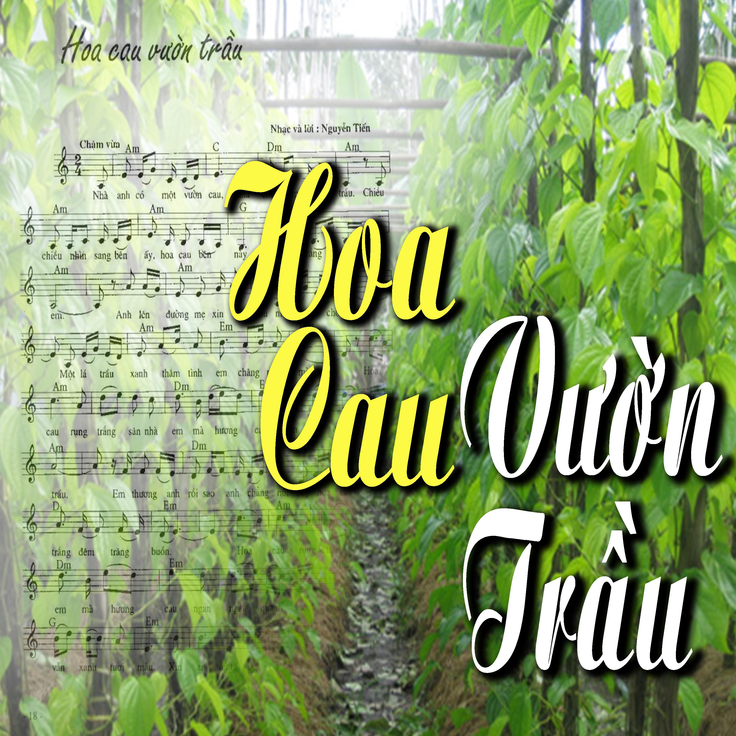 Hoa Cau Vườn Tràu