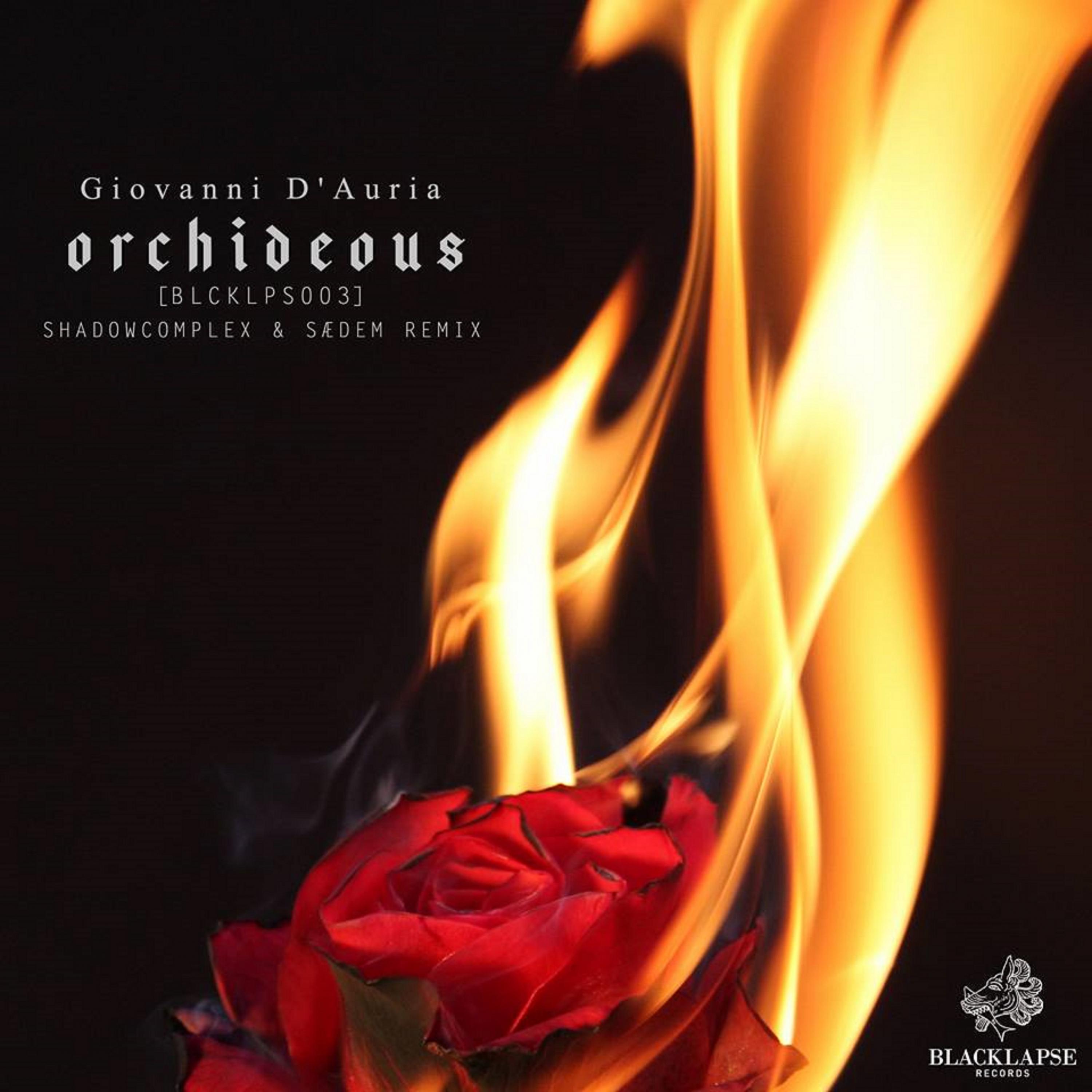 Orchideous