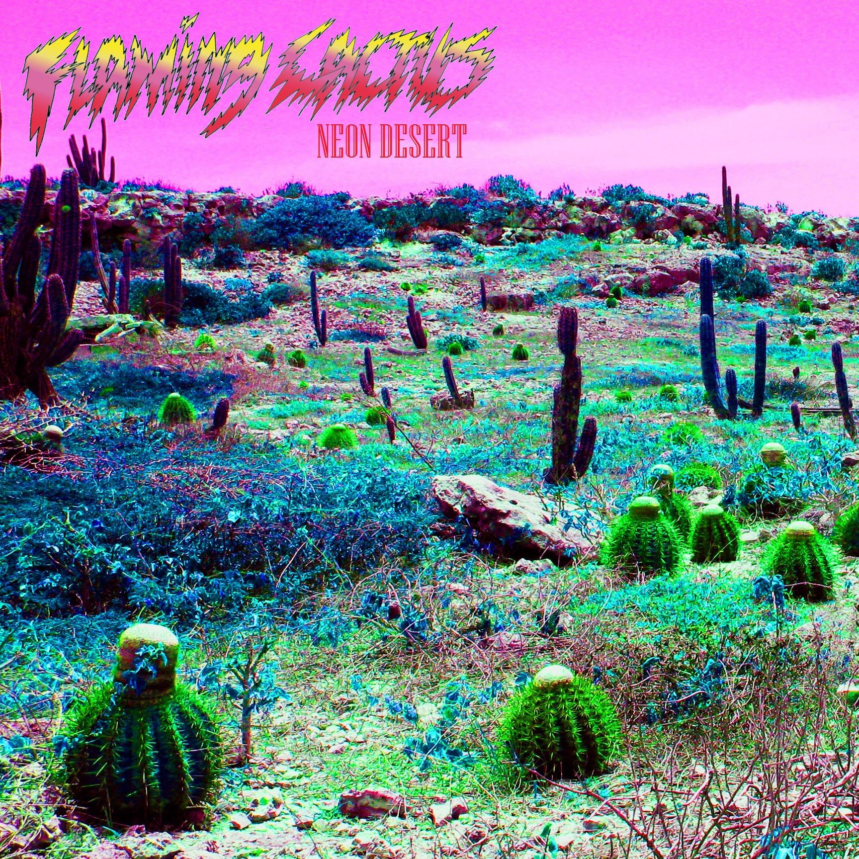 Neon Desert