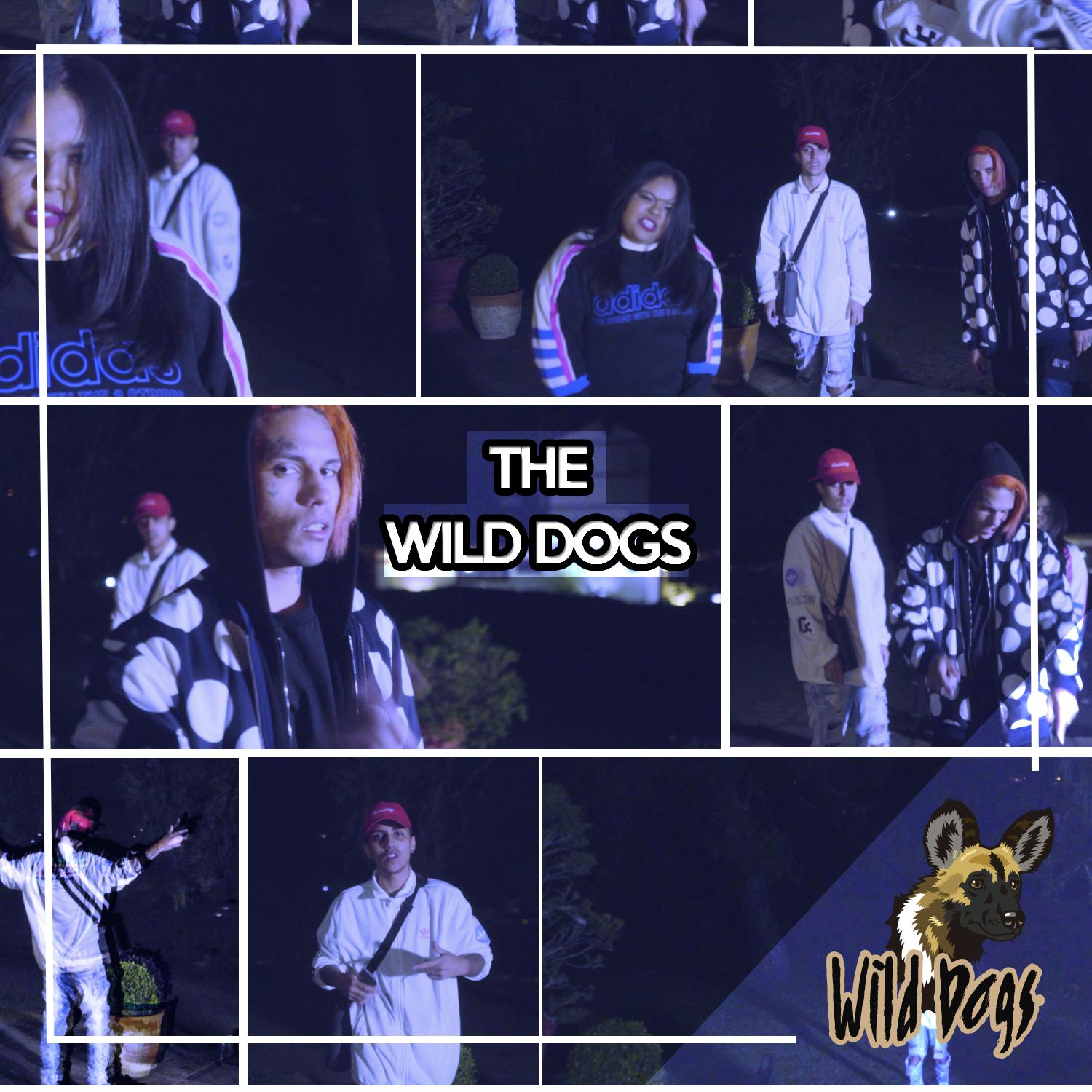 The Wild Dogs 