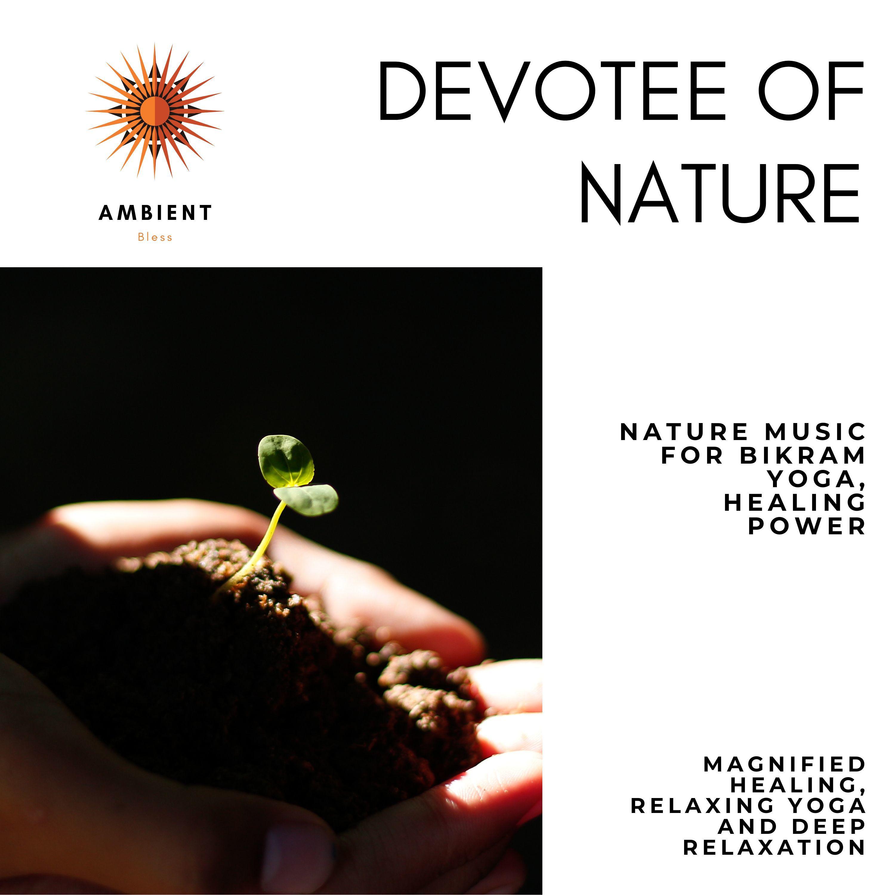 Devotee Of Nature (Nature Music For Bikram Yoga, Healing Power, Magnified Healing, Relaxing Yoga And Deep Relaxation)