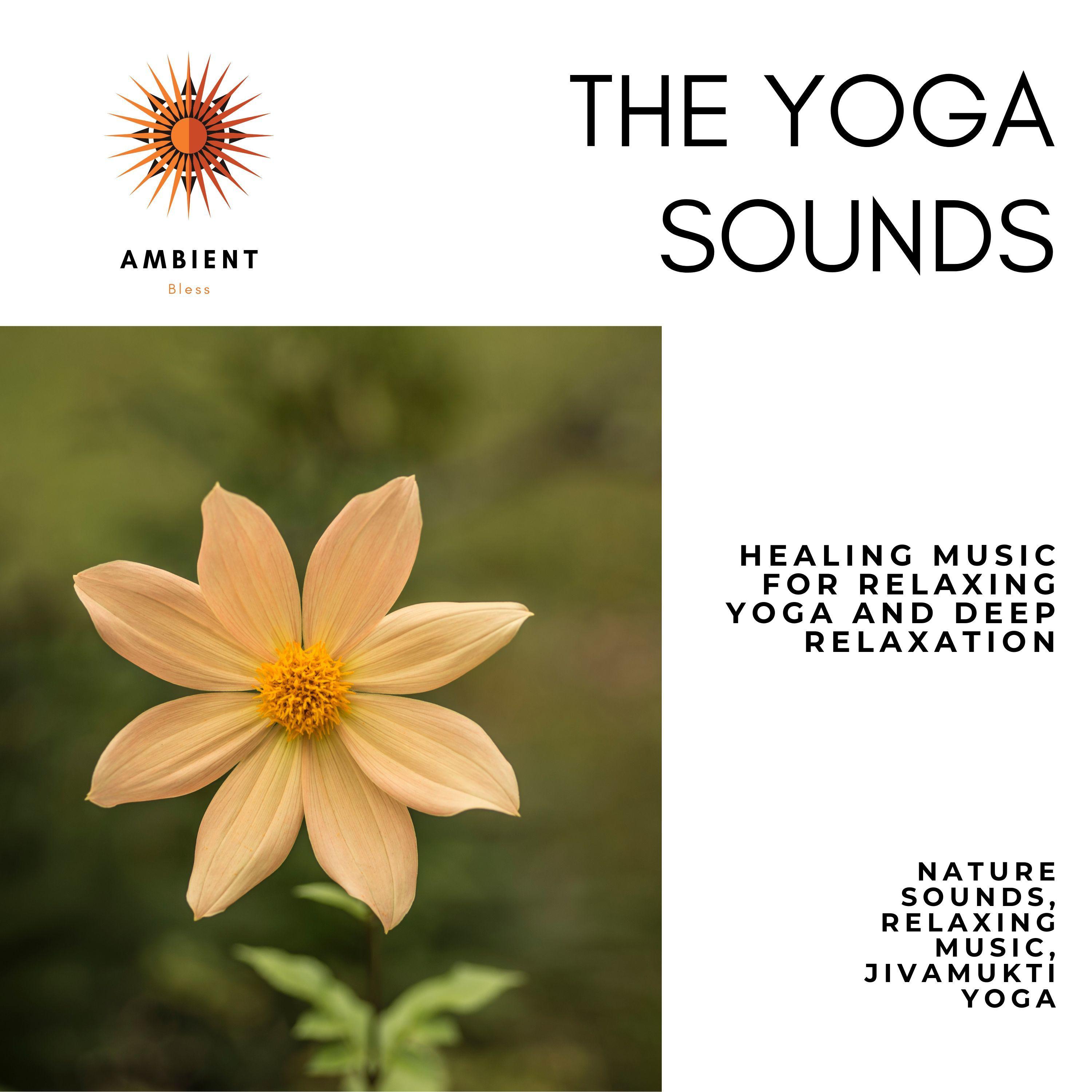 The Yoga Sounds (Healing Music For Relaxing Yoga And Deep Relaxation) (Nature Sounds, Relaxing Music, Jivamukti Yoga)