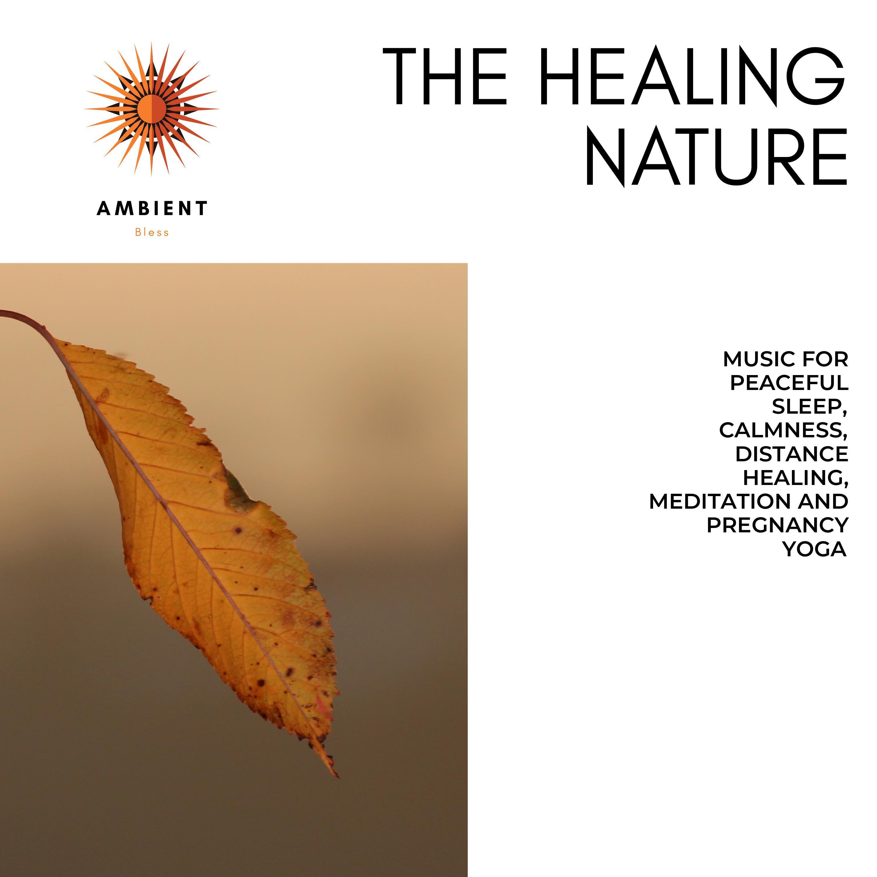 The Healing Nature (Music For Peaceful Sleep, Calmness, Distance Healing, Meditation And Pregnancy Yoga)