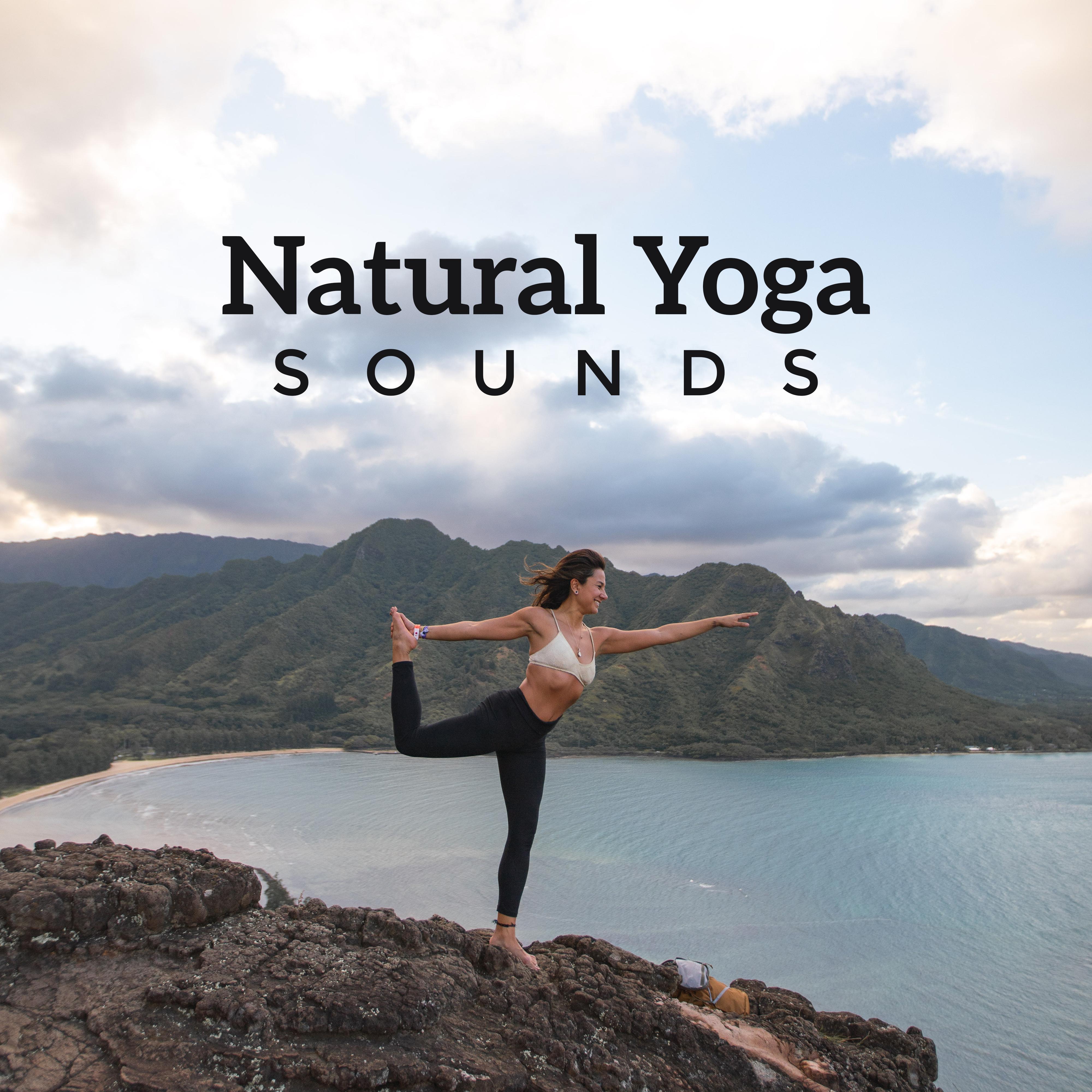 Natural Yoga Sounds: New Age Fresh 2019 Music Compilation, Songs with Nature Sounds of Birds, Forest, Water, Perfect Relaxation & Meditation Background
