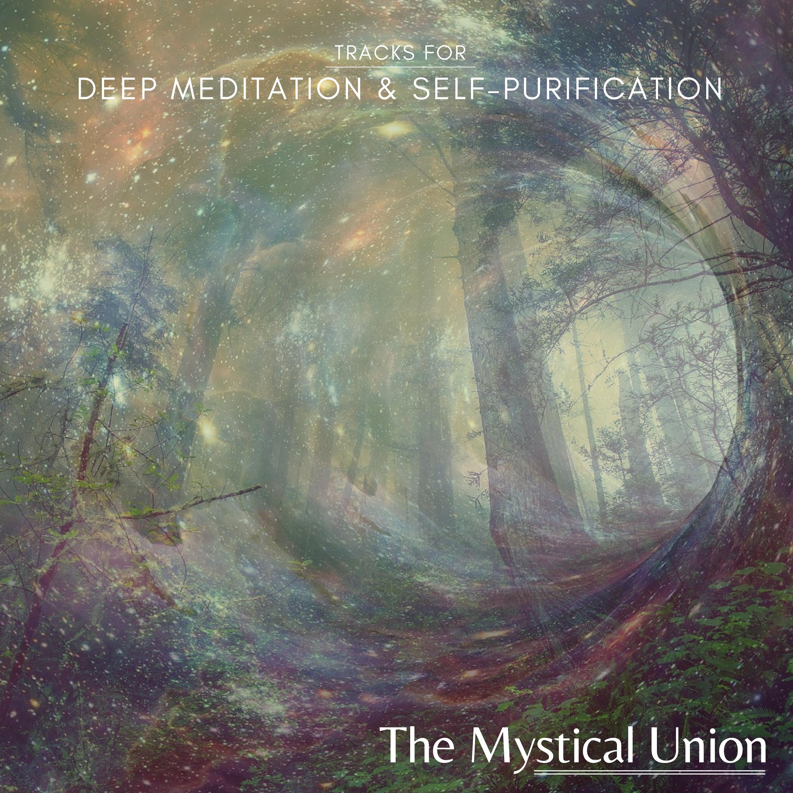 The Mystical Union - Tracks For Deep Meditation & Self-Purification