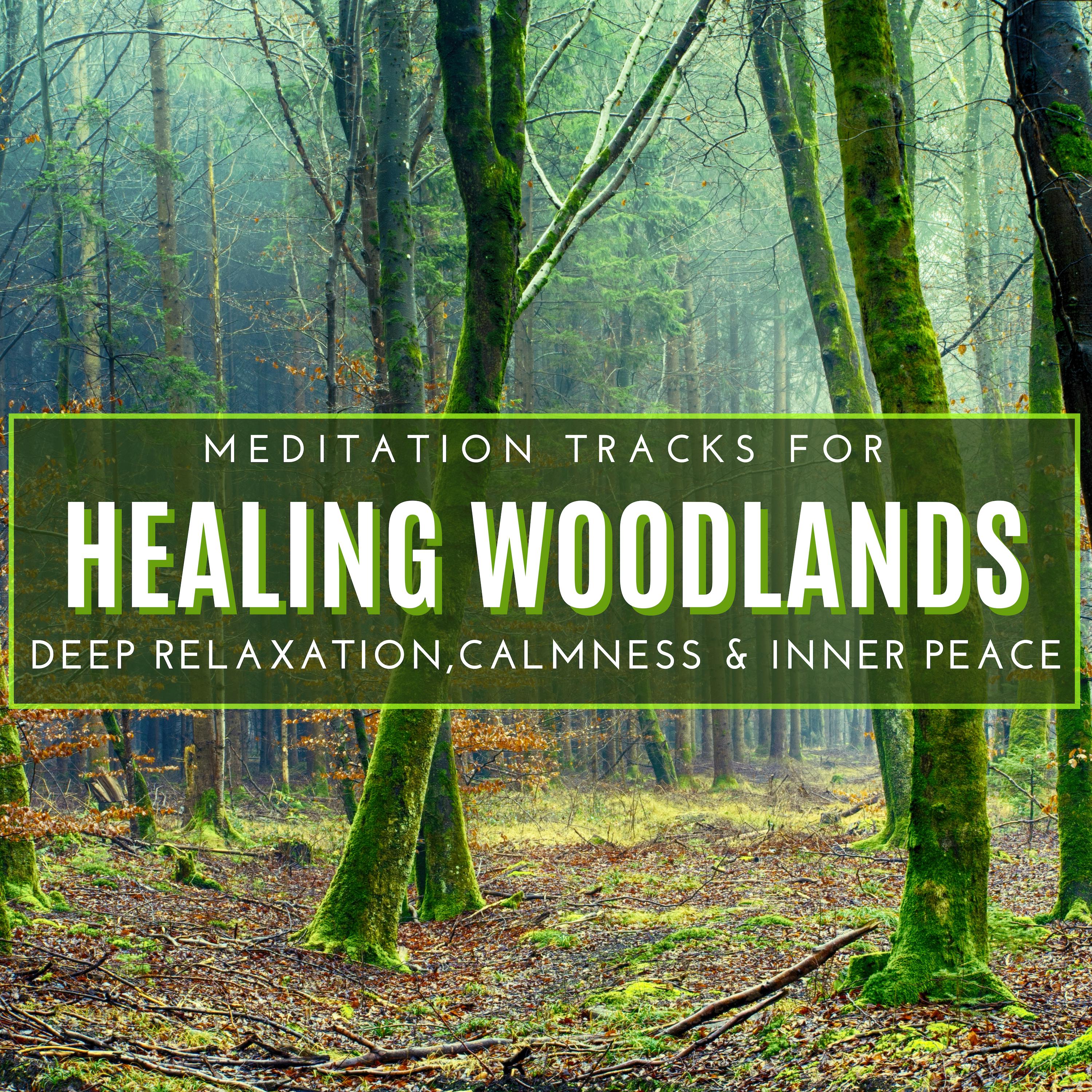 Healing Woodlands - Meditation Tracks For Deep Relaxation,Calmness & Inner Peace