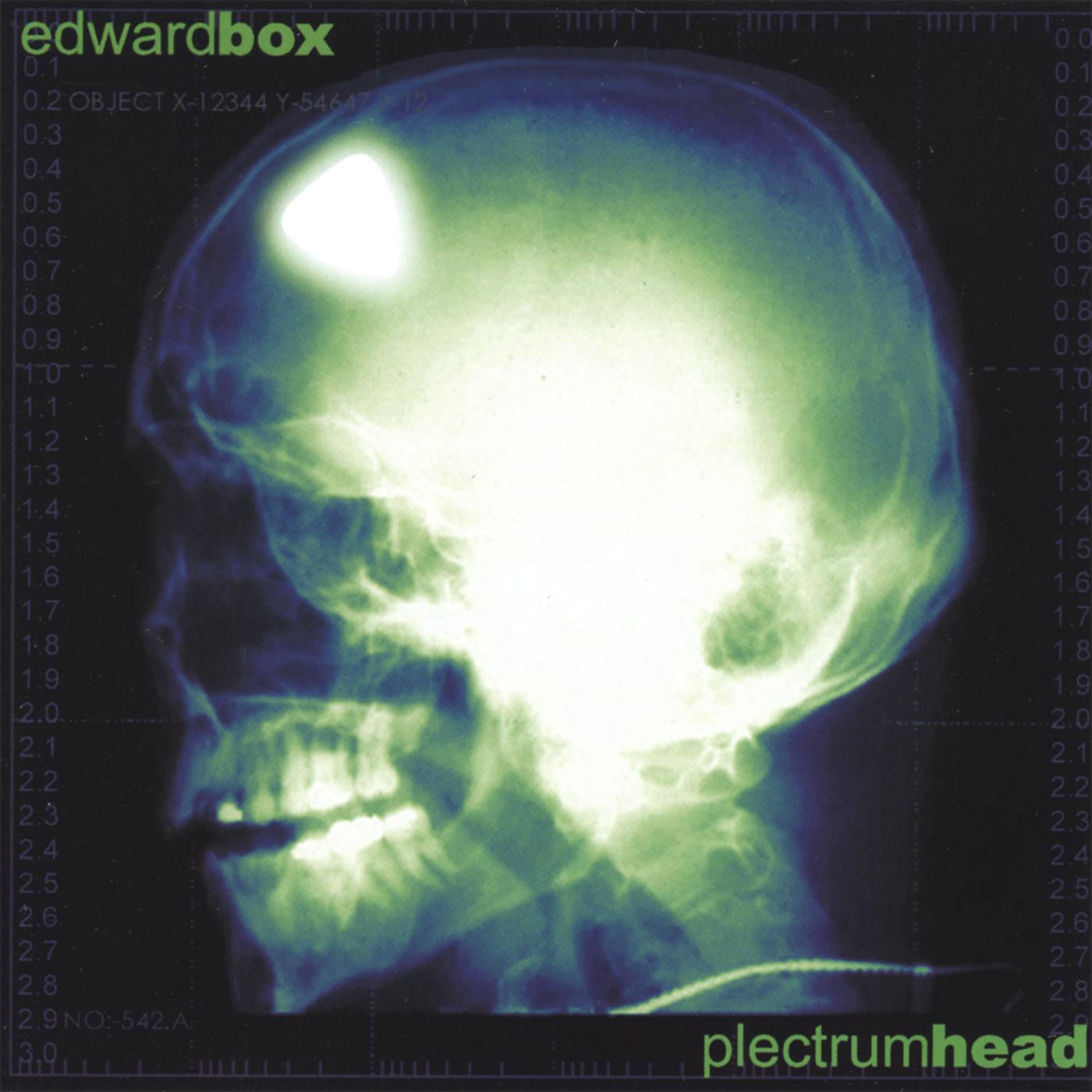 Plectrumhead