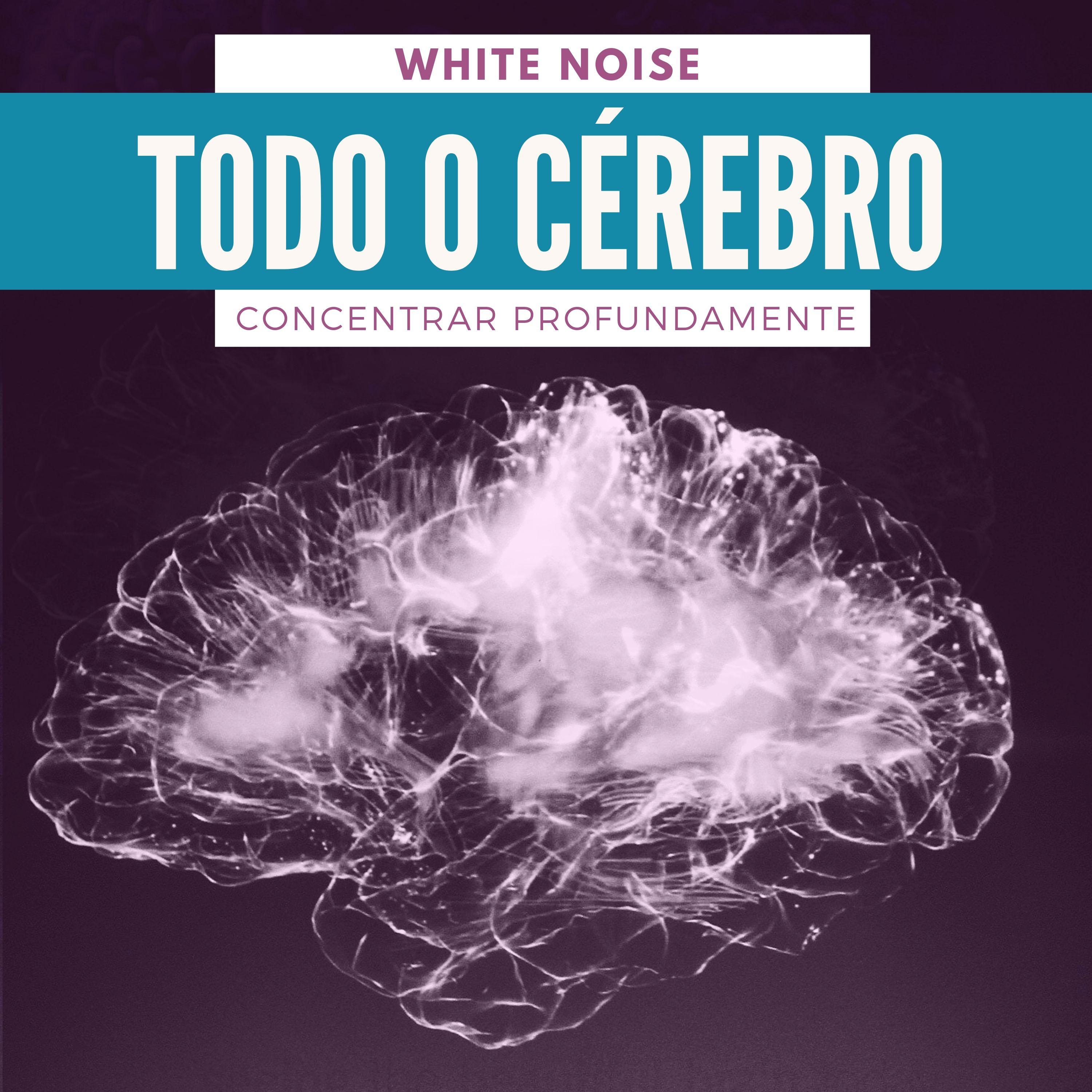 Todo o Cérebro – White Noise para Usar Todo o Potencial do Cérebro e Concentrar Profundamente