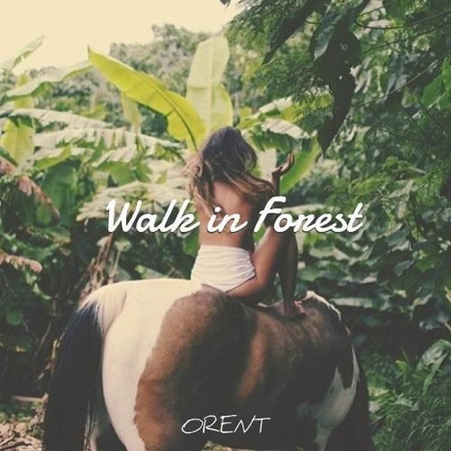 Walk in Forest