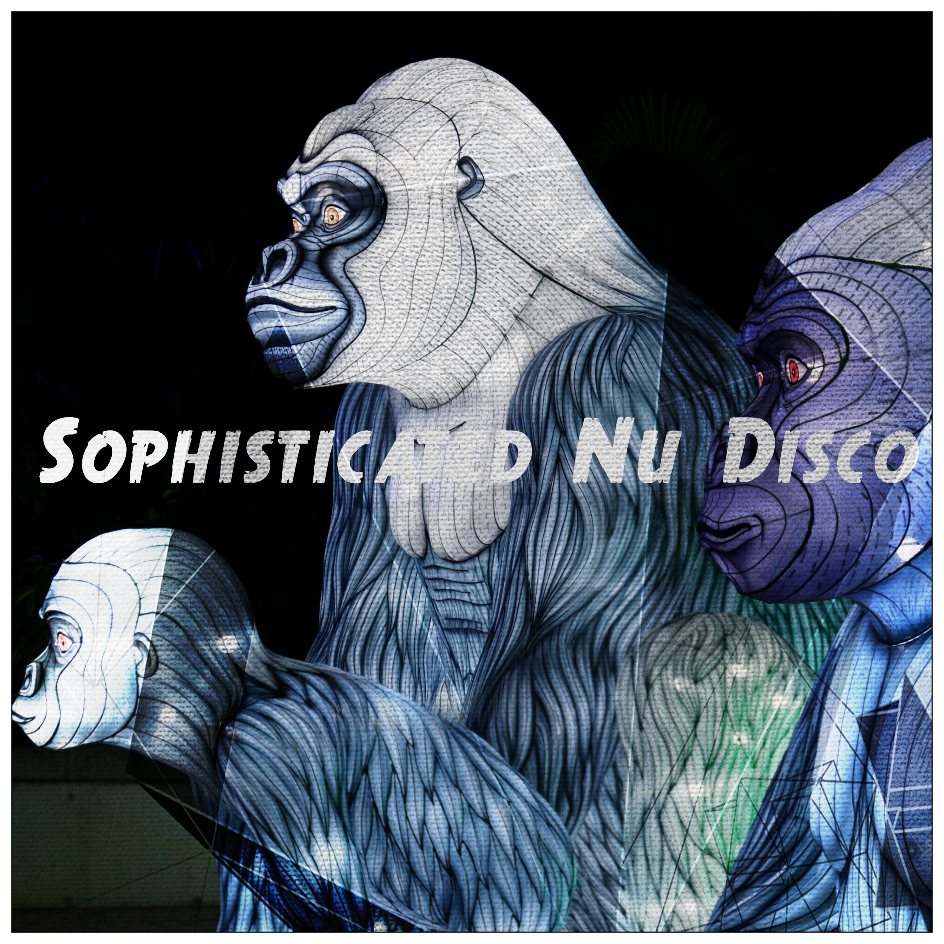 Sohpisticated Nu Disco