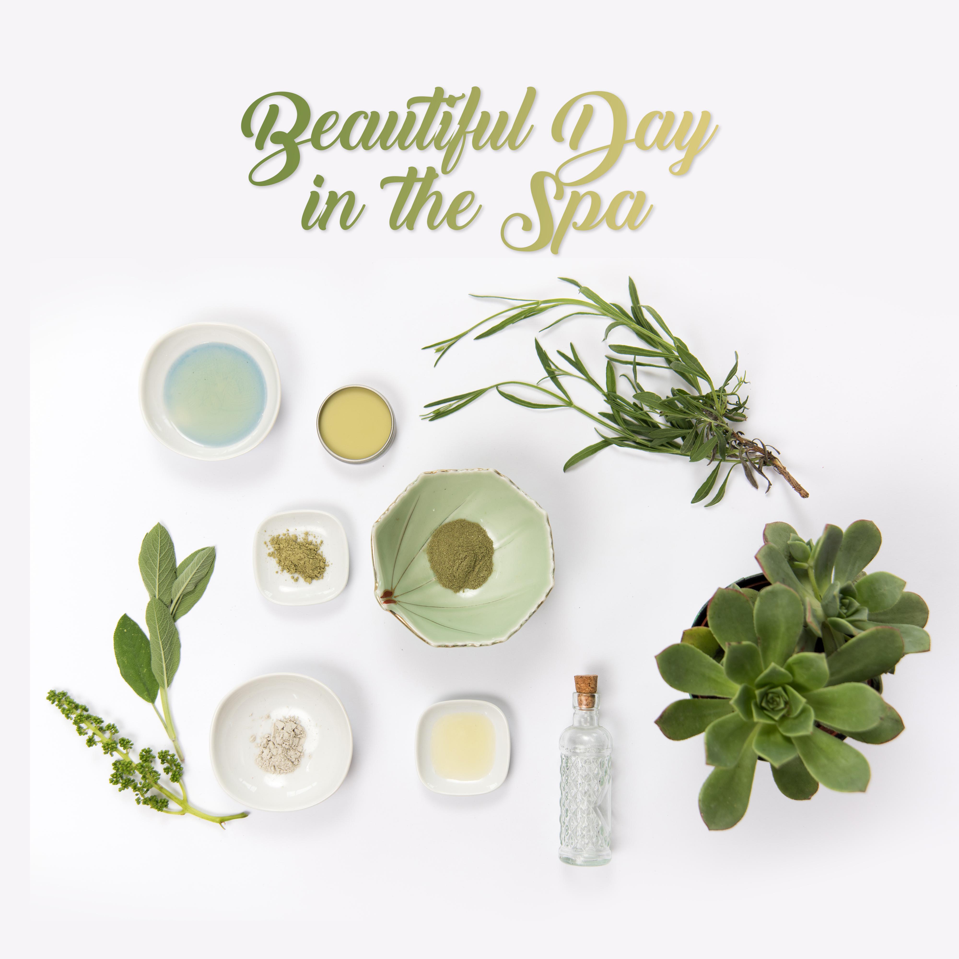 Beautiful Day in the Spa: Collection of Relaxing 2019 New Age Music Created for Spa Salon, Wellness Massage Therapy, Most Relaxing Sounds to Full Calm Down & Rest