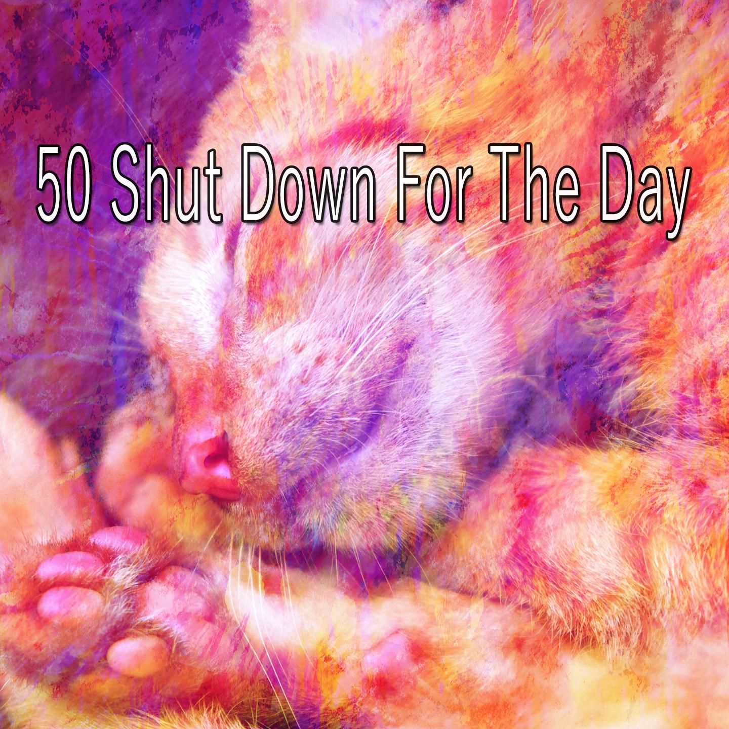 50 Shut Down for the Day