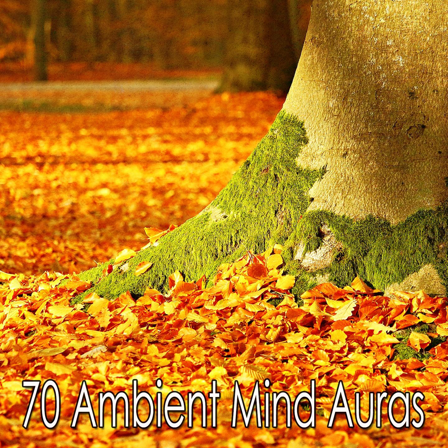 70 Ambient Mind Auras