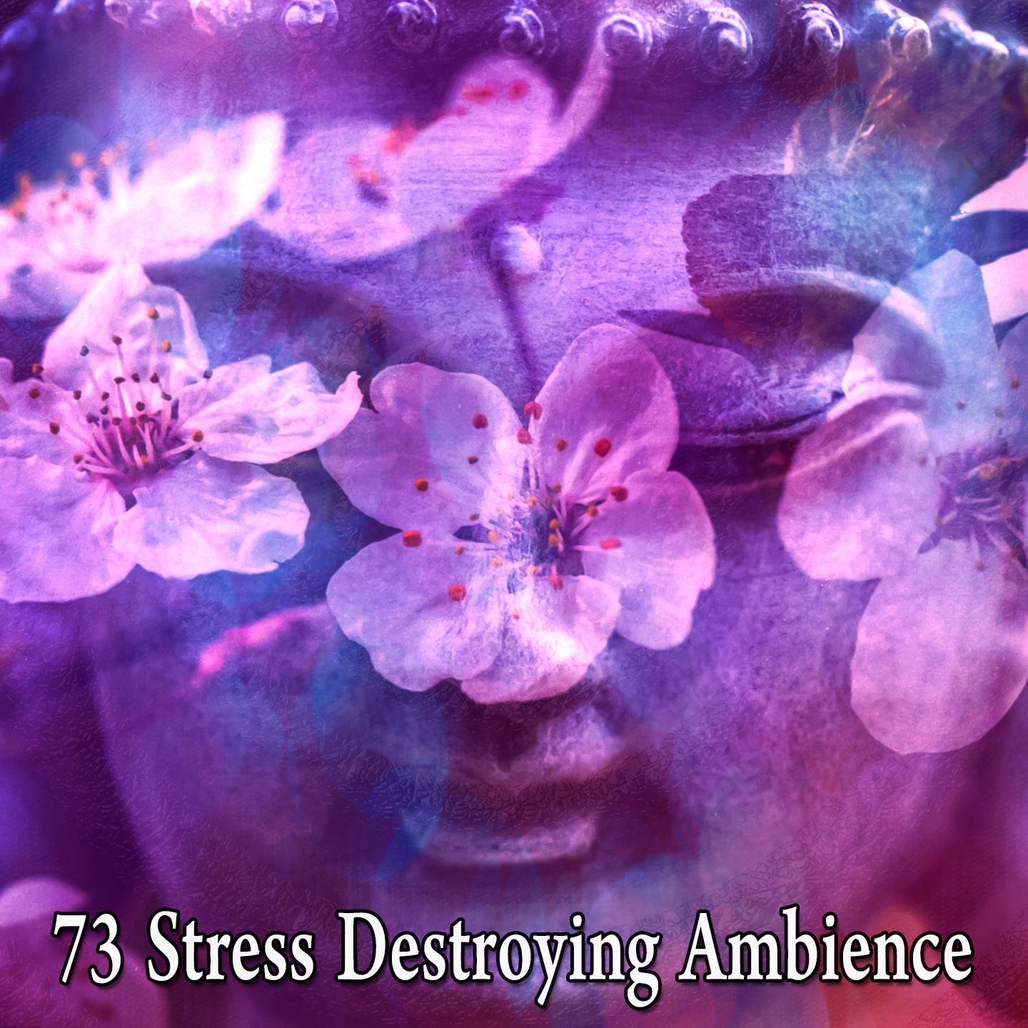 73 Stress Destroying Ambience