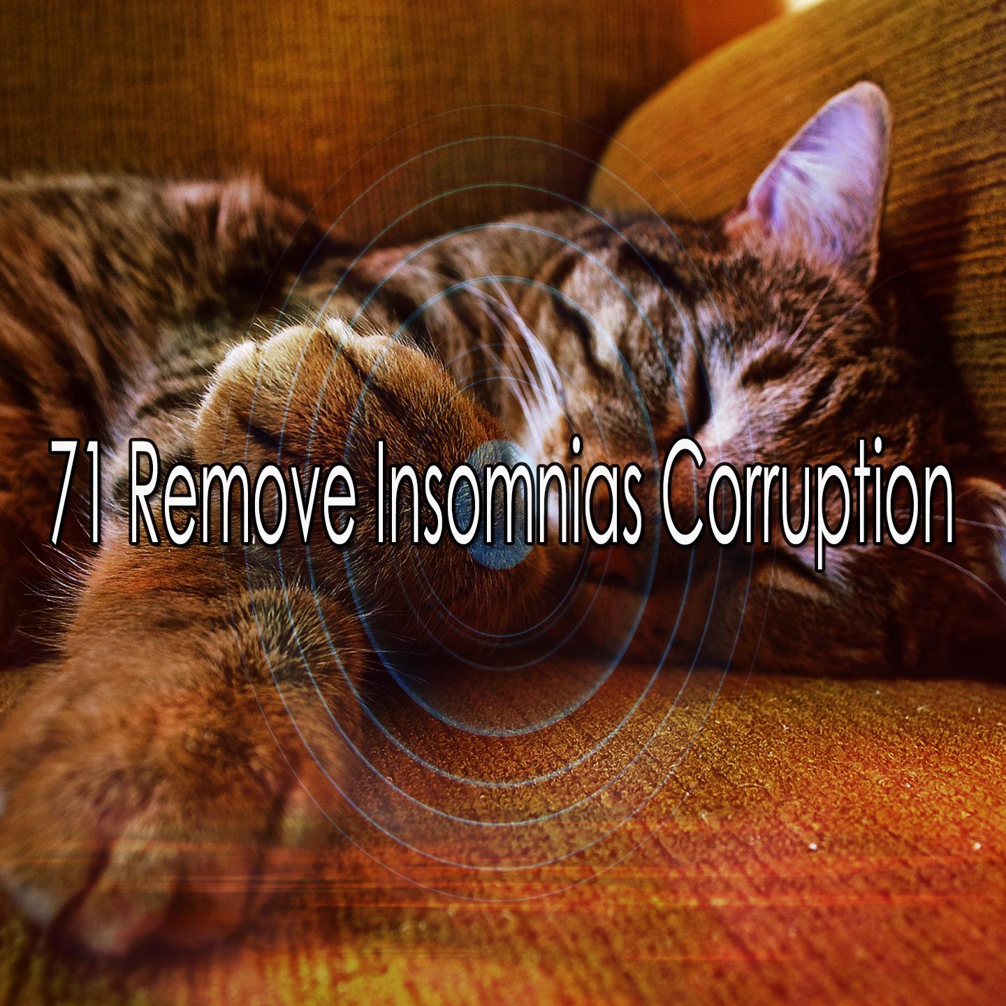 71 Remove Insomnias Corruption
