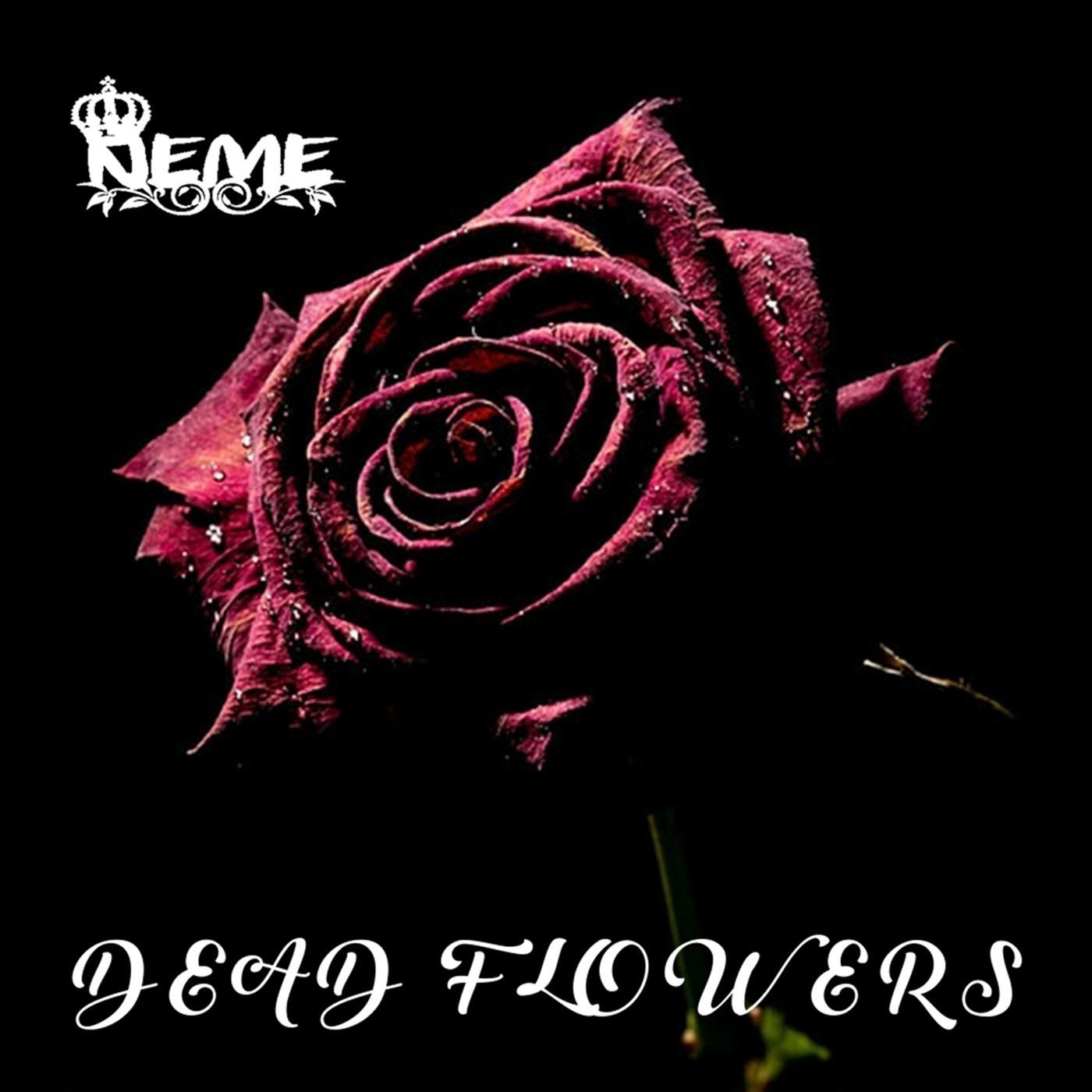 Dead Flowers