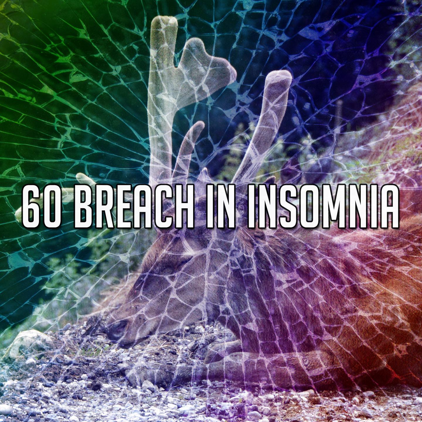 60 Breach in Insomnia