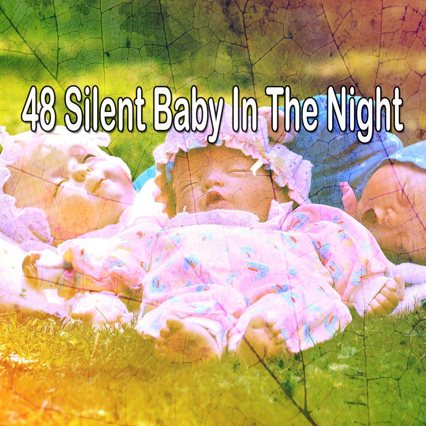 48 Silent Baby in the Night