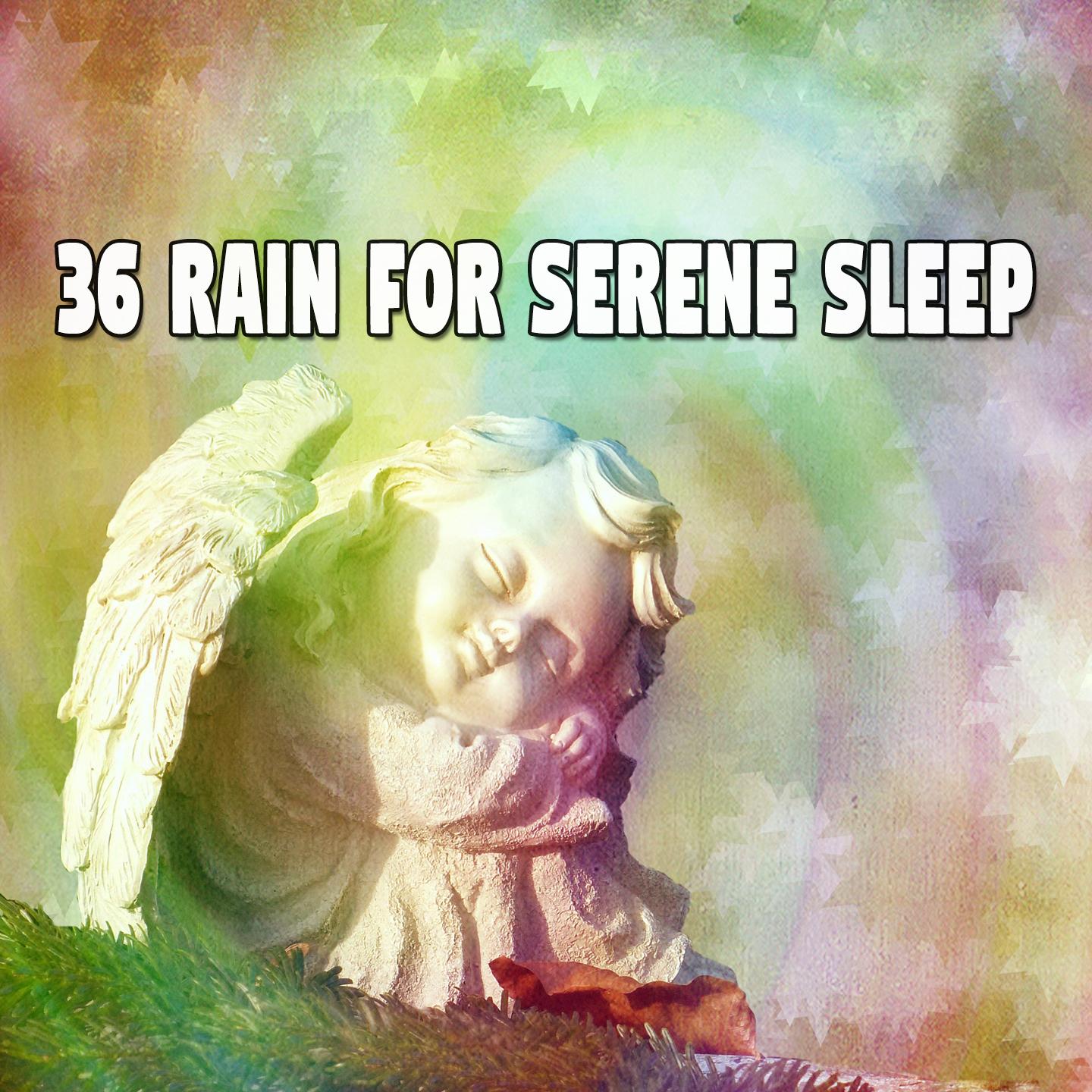 36 Rain for Serene Sleep