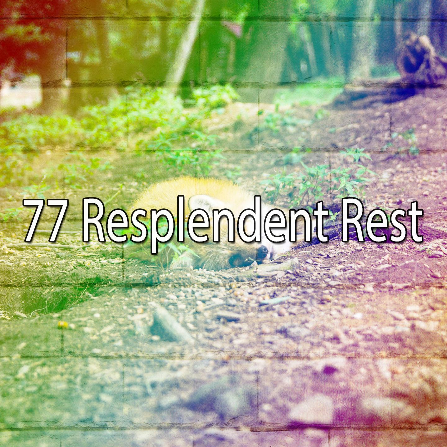 77 Resplendent Rest
