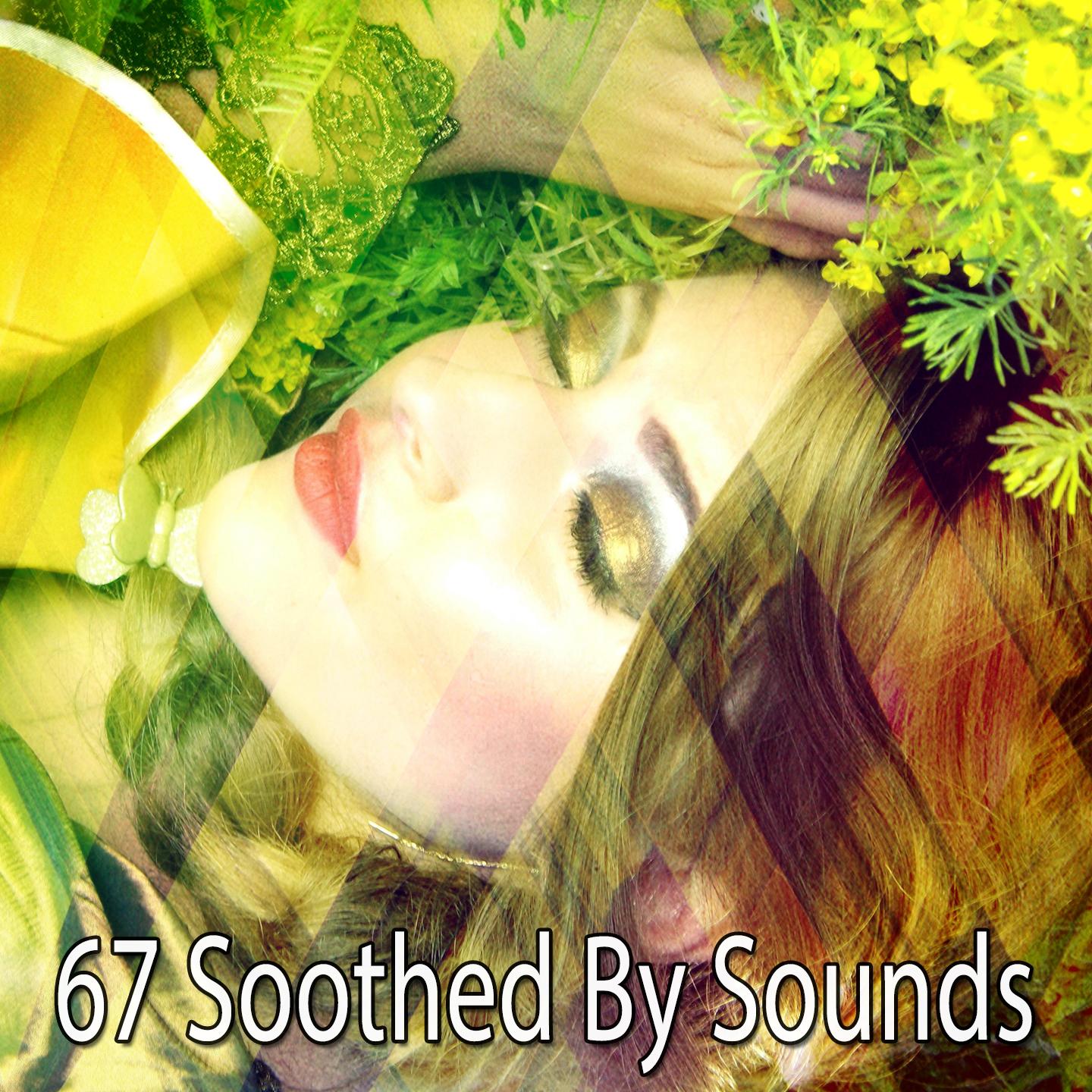 67 Soothed by Sounds