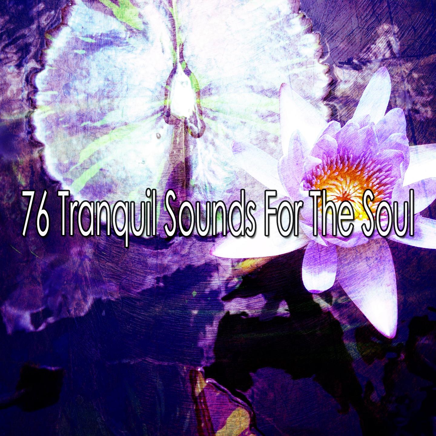 76 Tranquil Sounds for the Soul