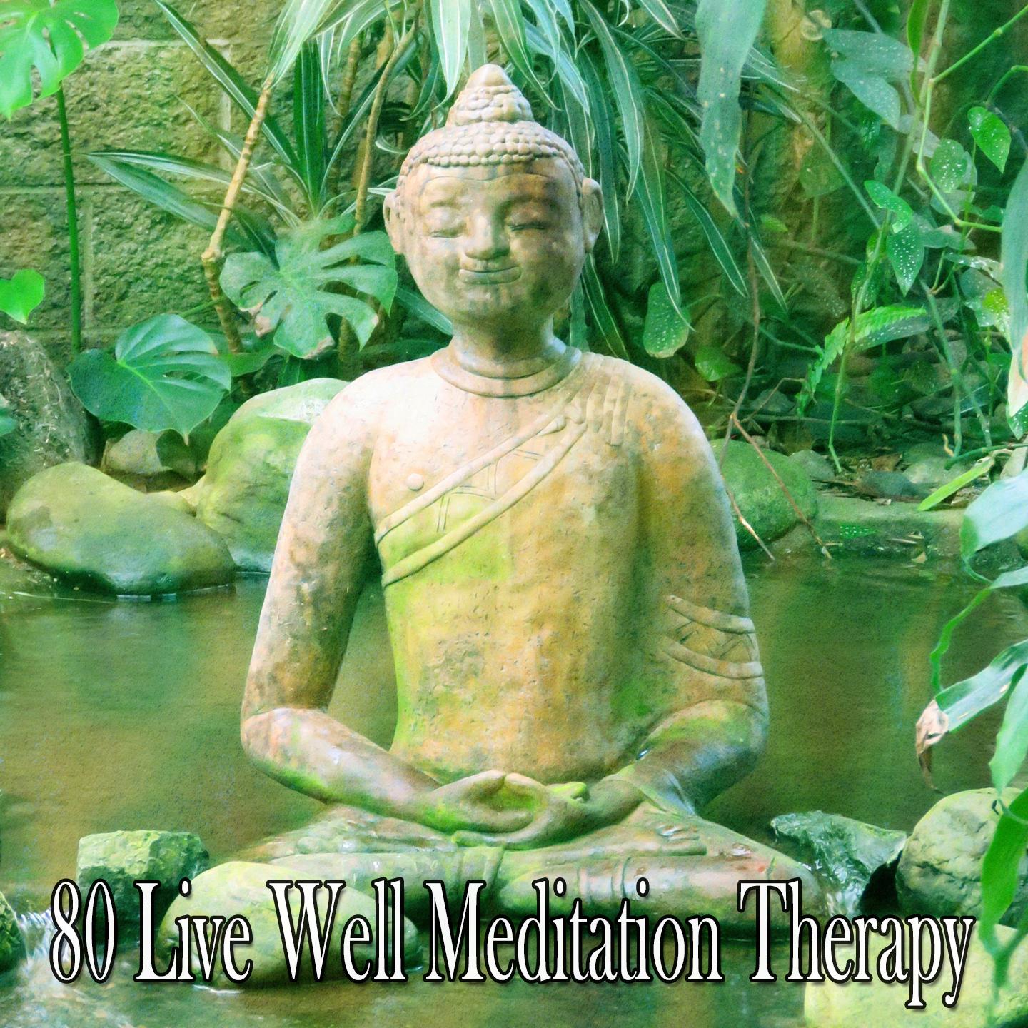 80 Live Well Meditation Therapy