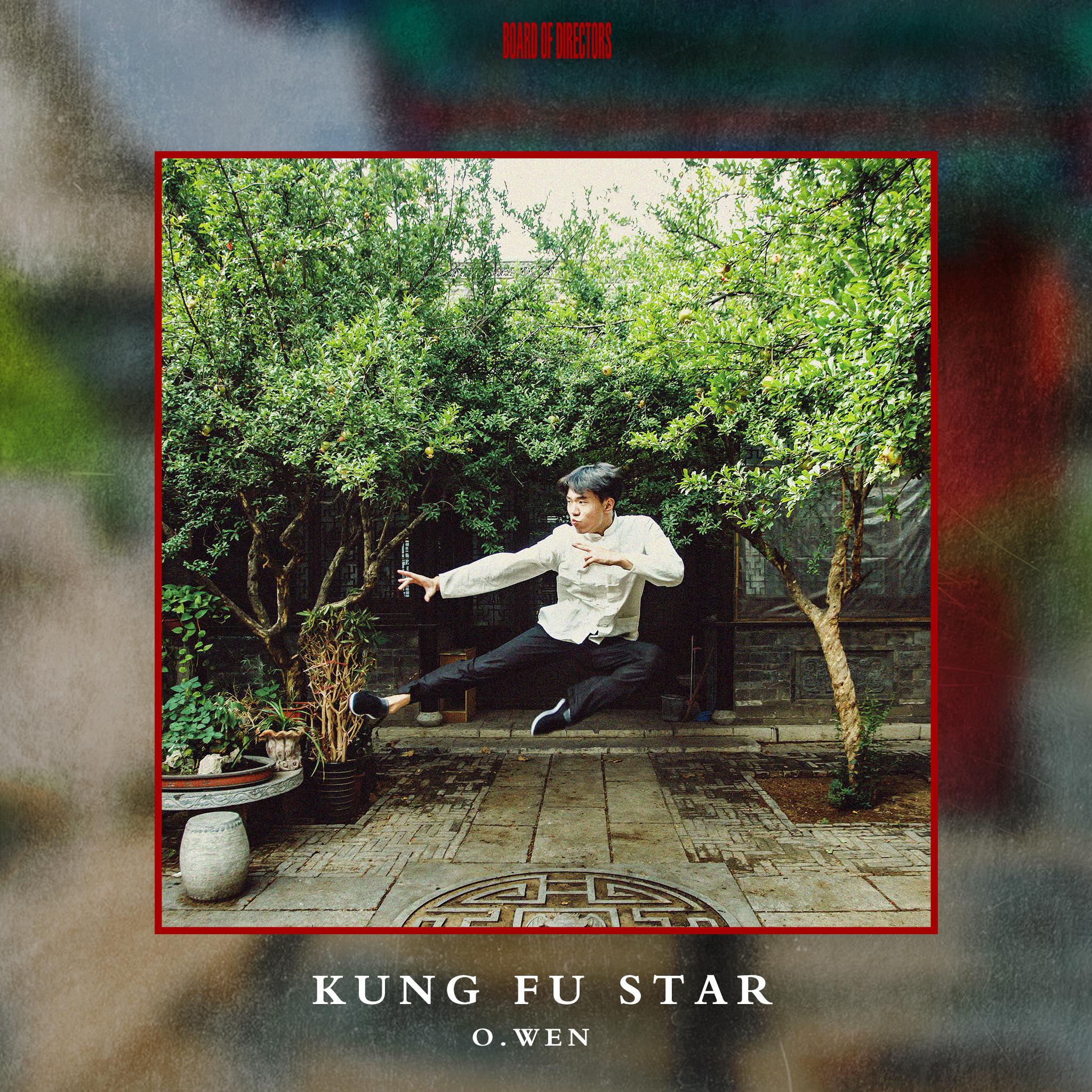 Kung Fu Star