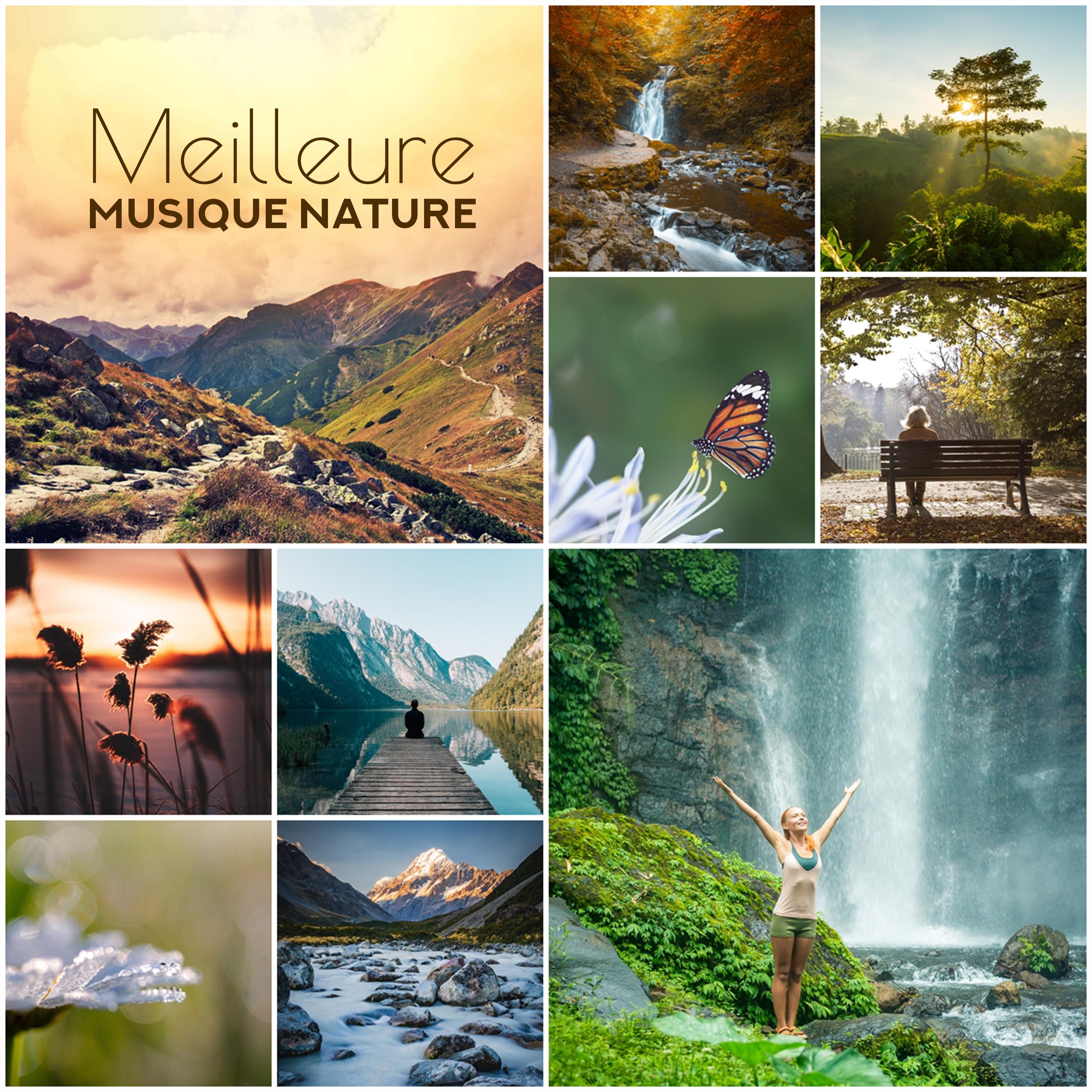 Meilleure musique nature (Sons relaxants pour la méditation, Le sommeil et le spa)