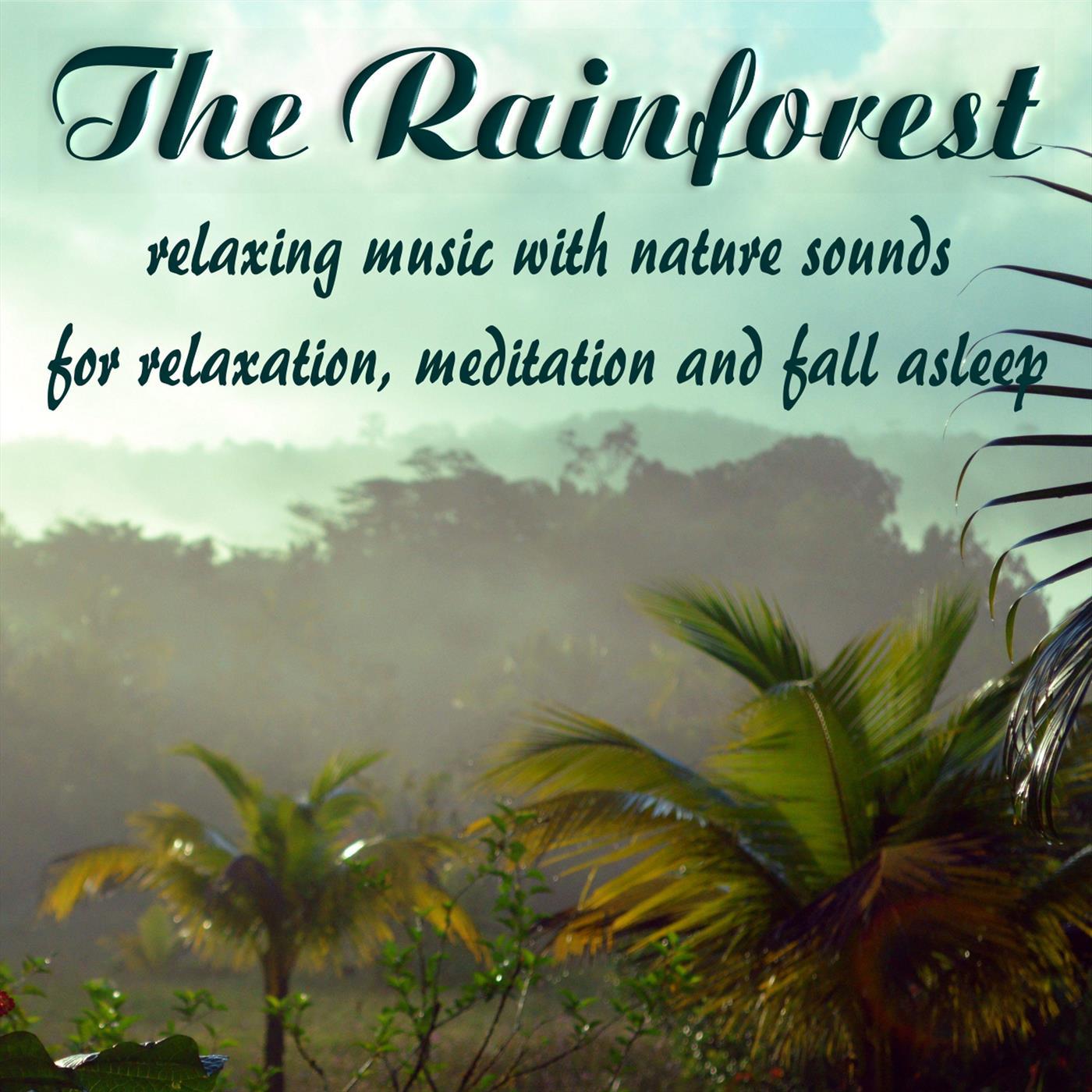 The Rainforest, relaxing music with nature sounds for relaxation, meditation and fall asleep