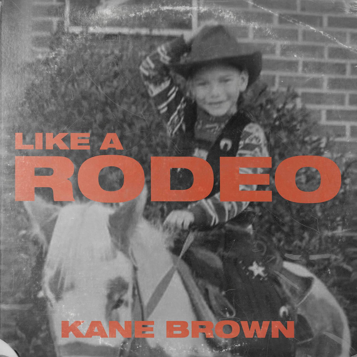 Like a Rodeo