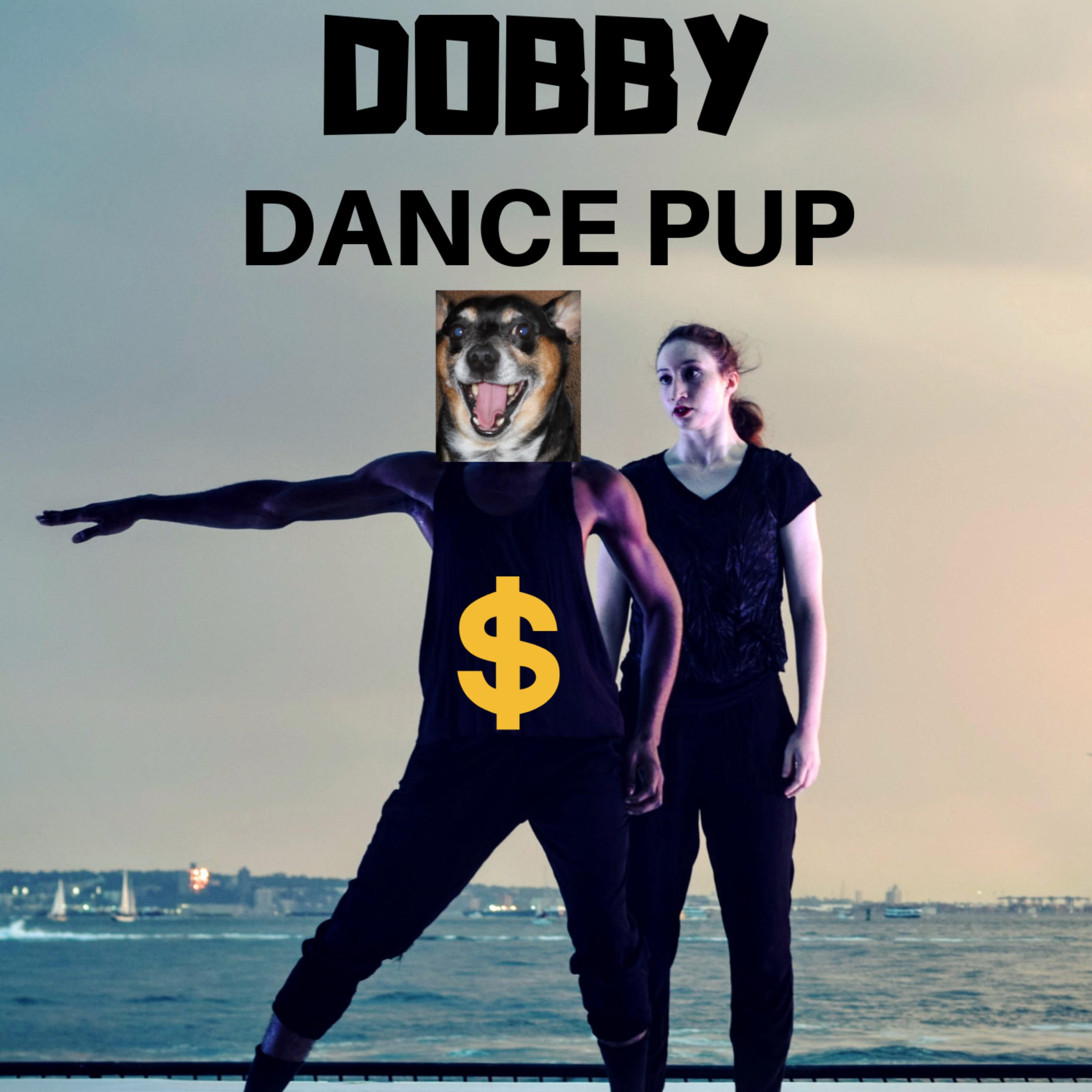 Dobby - Dance Pup