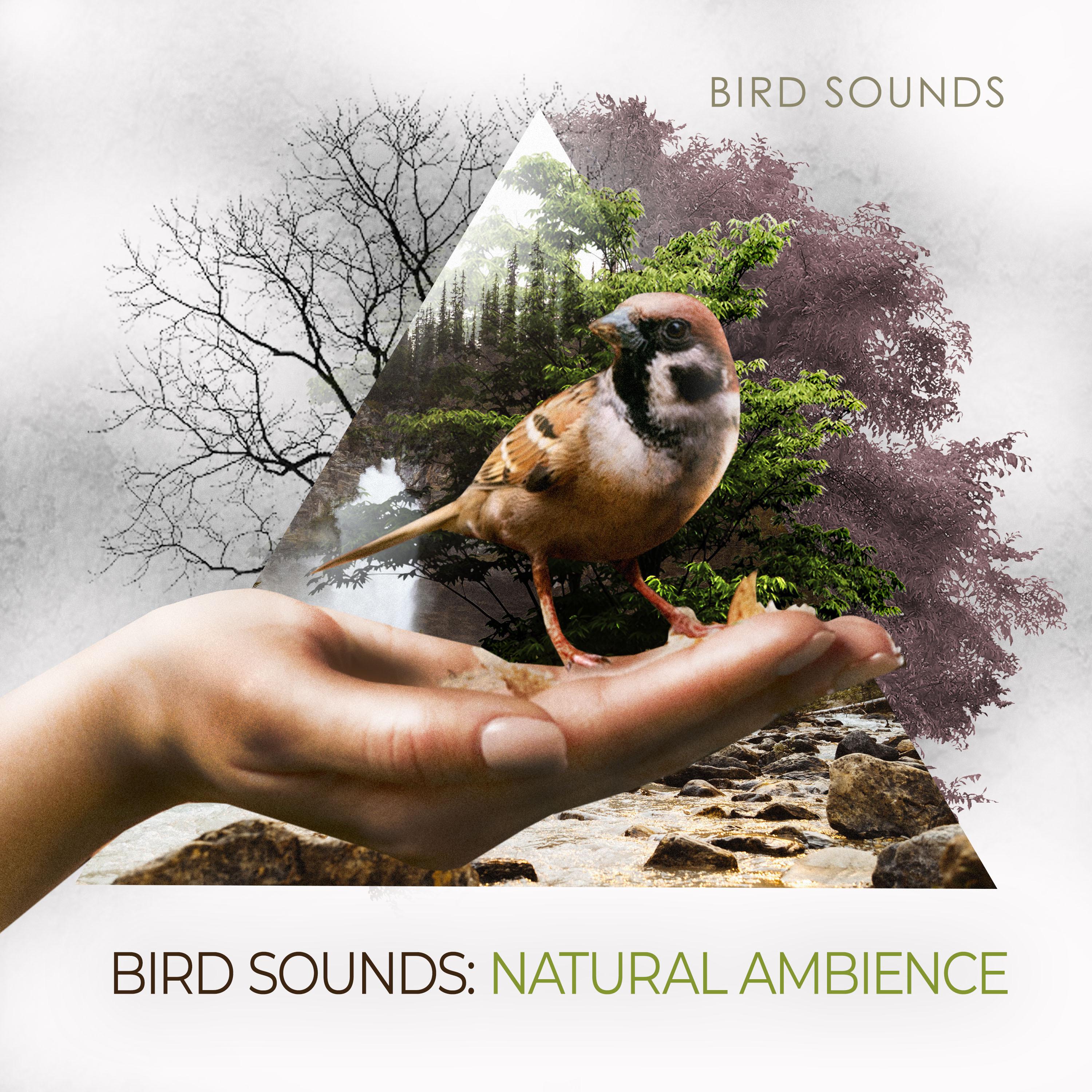 Bird Sounds: Natural Ambience