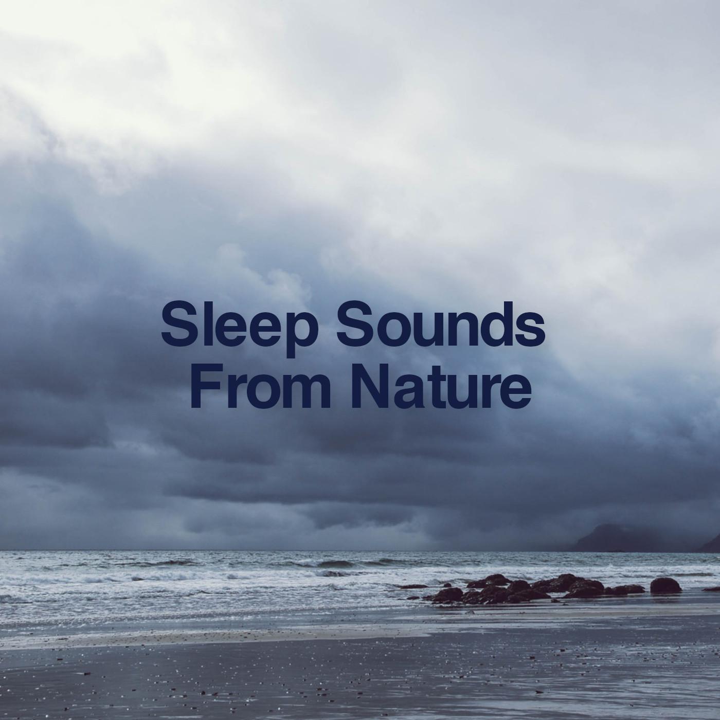 Sleep Sounds By Nature
