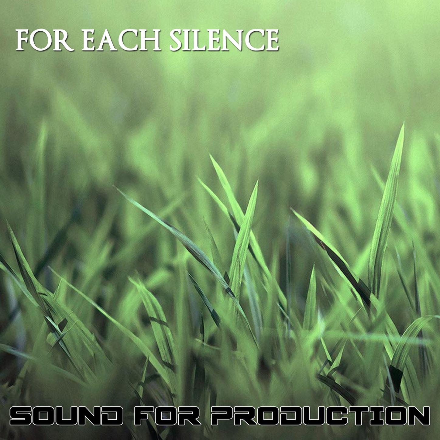 Sound For Production For Each Silence