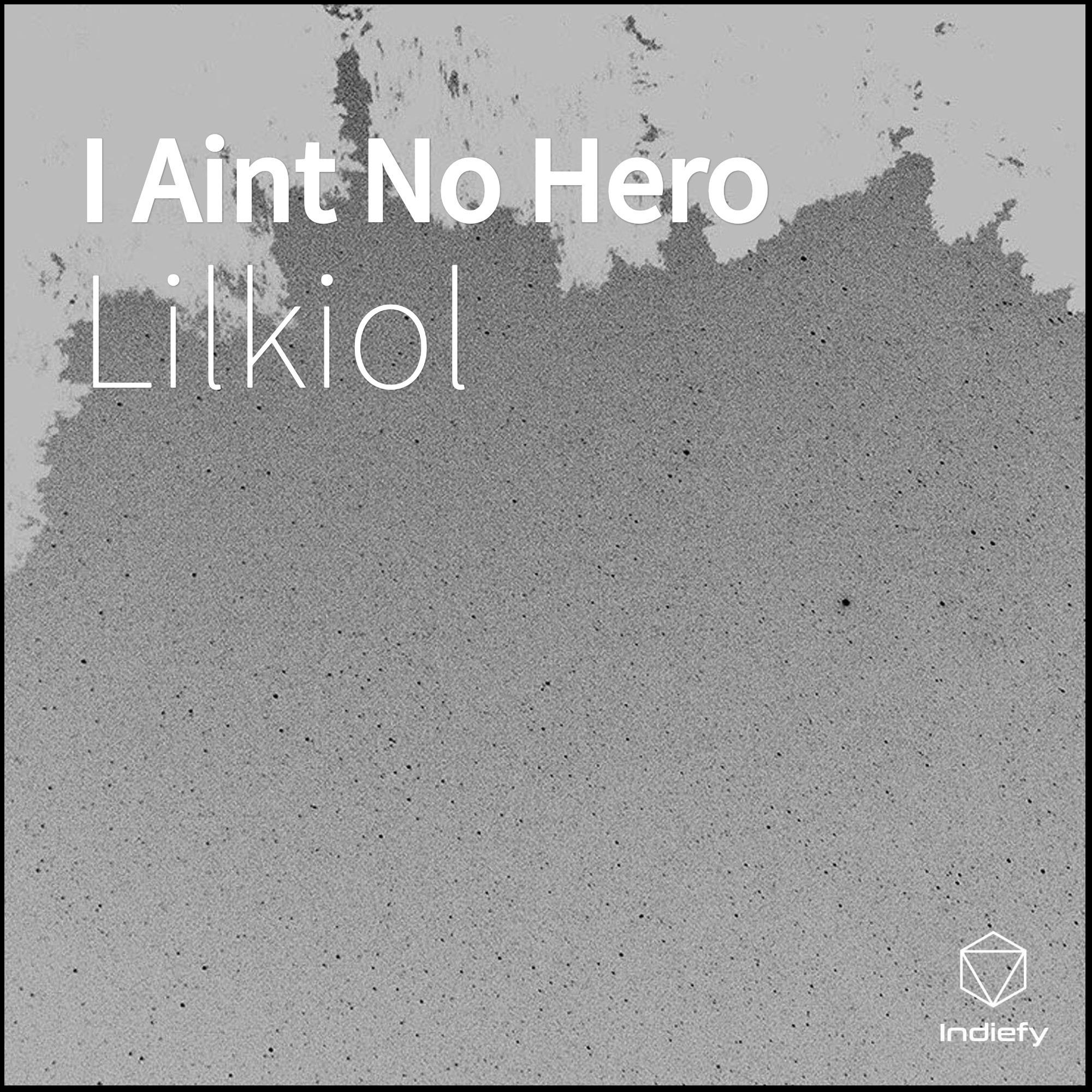 I Aint No Hero