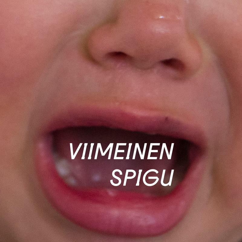 Viimeinen spigu