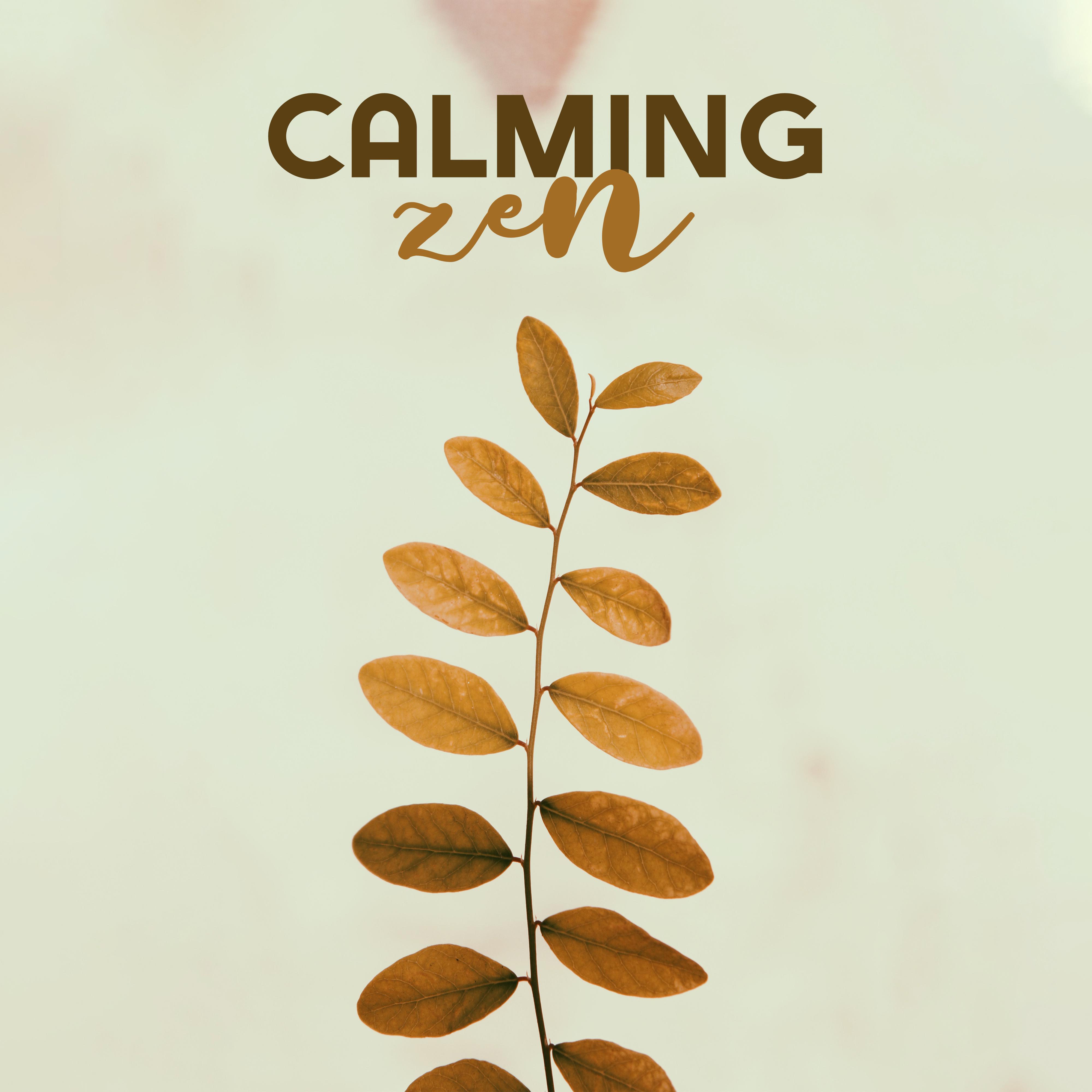 Calming Zen: Deep Mindfulness, Deep Harmony, Inner Focus, Yoga Training, Lounge, Chillout Zone, Namaste Meditation, Asian Deep Meditation
