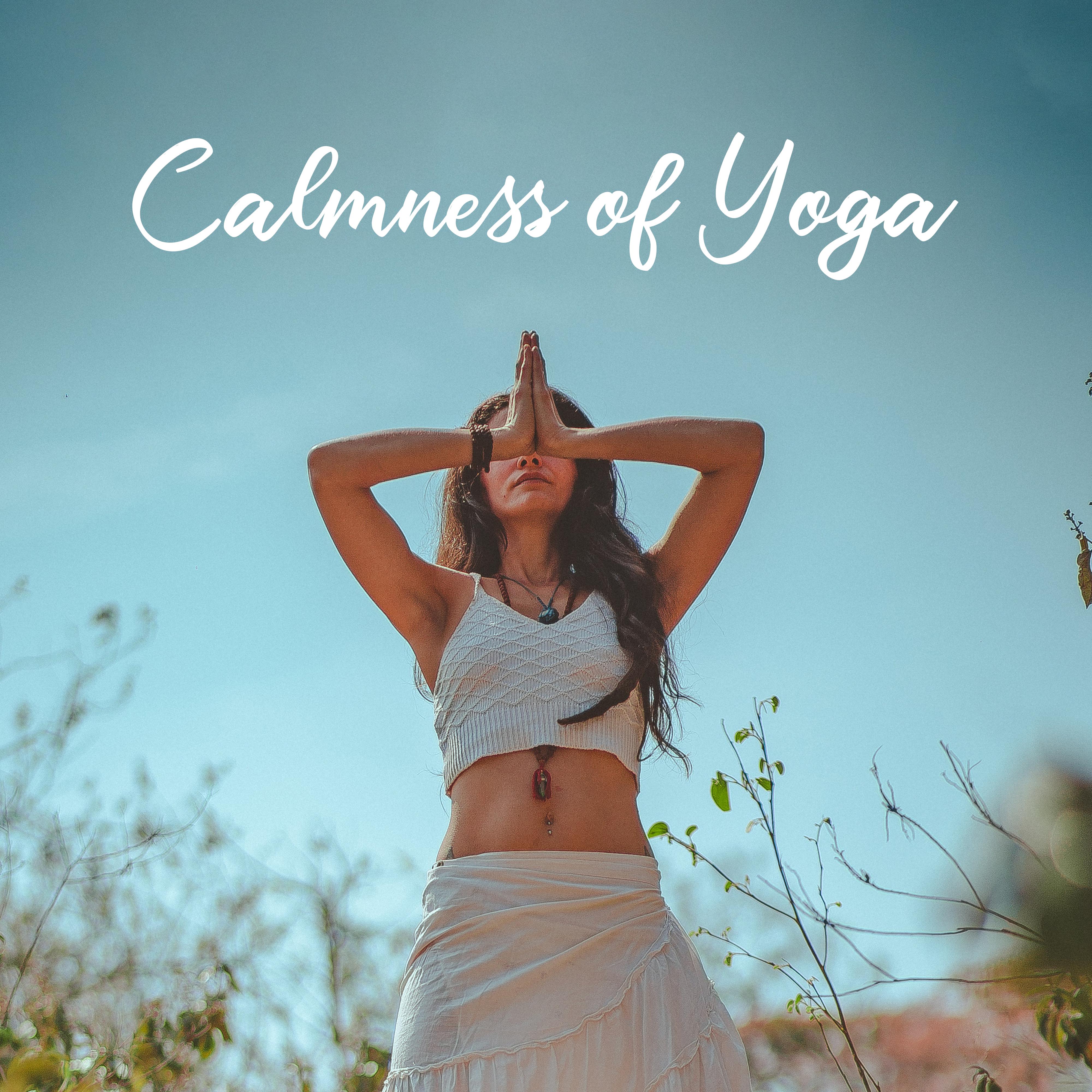 Calmness of Yoga: New Age 2019 Music for Meditation & Relaxation, Calm Down Bad Emotions, Find Your Inner Harmony, Increase Life Energy, Balance Body & Mind