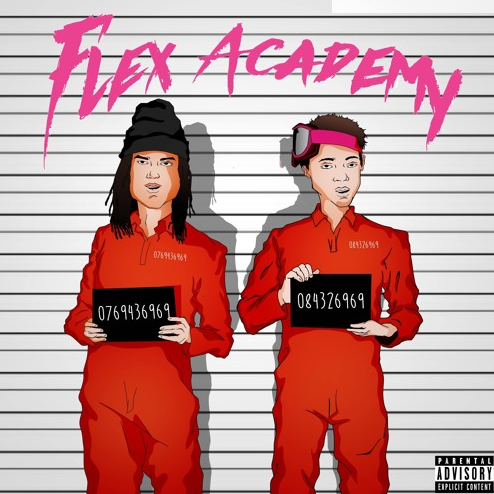 Flex Academy