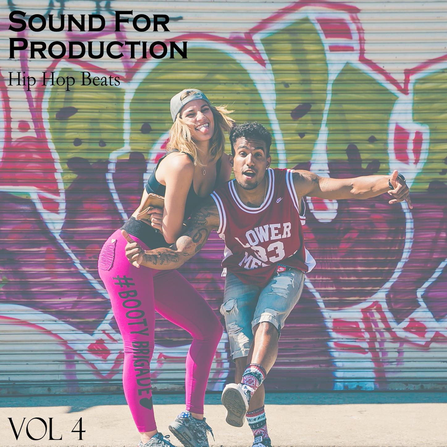 Sound For Production Hip Hop Beats, Vol. 4