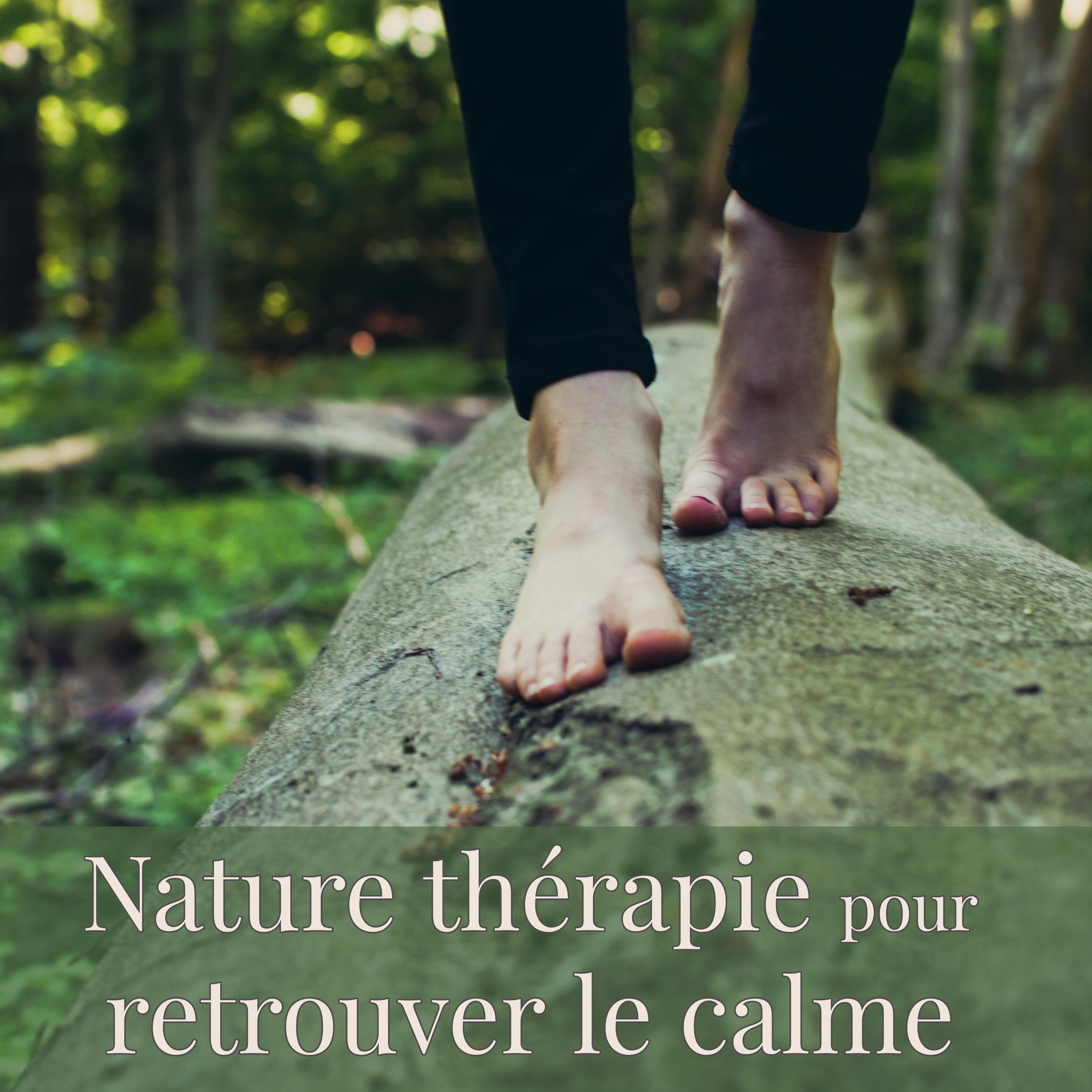 Nature thérapie pour retrouver le calme – Musique relaxante avec sons de la nature pour vous soigner et guérir