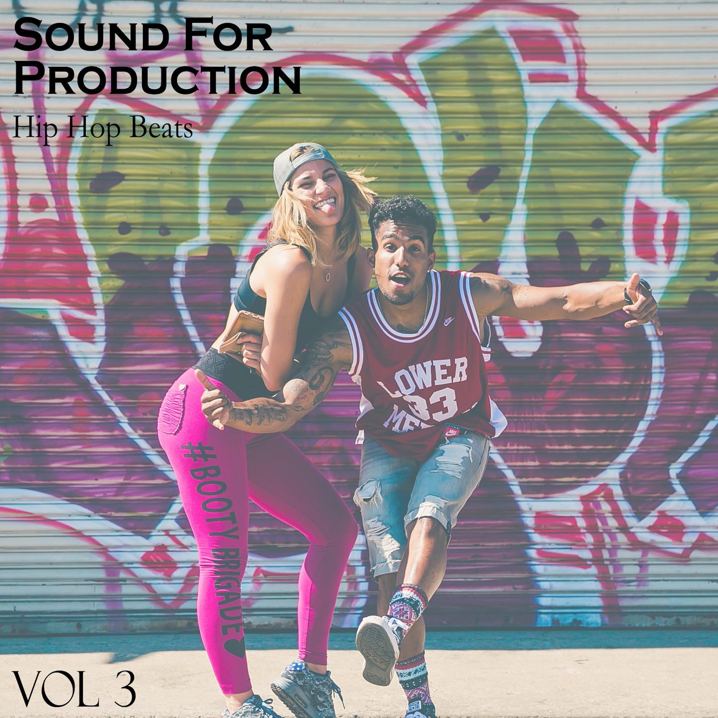 Sound For Production Hip Hop Beats, Vol. 3