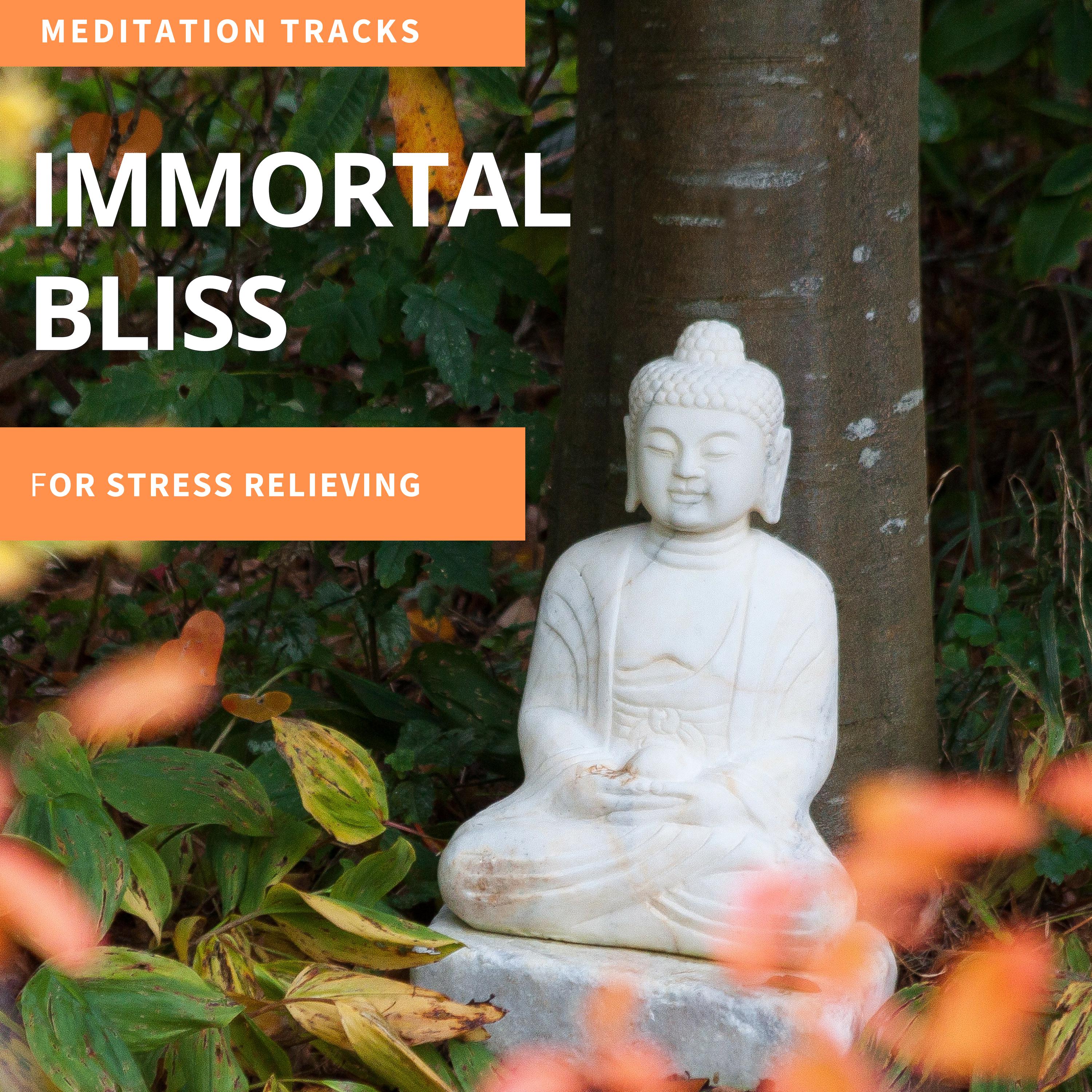 Immortal Bliss - Meditation Tracks For Stress Relieving