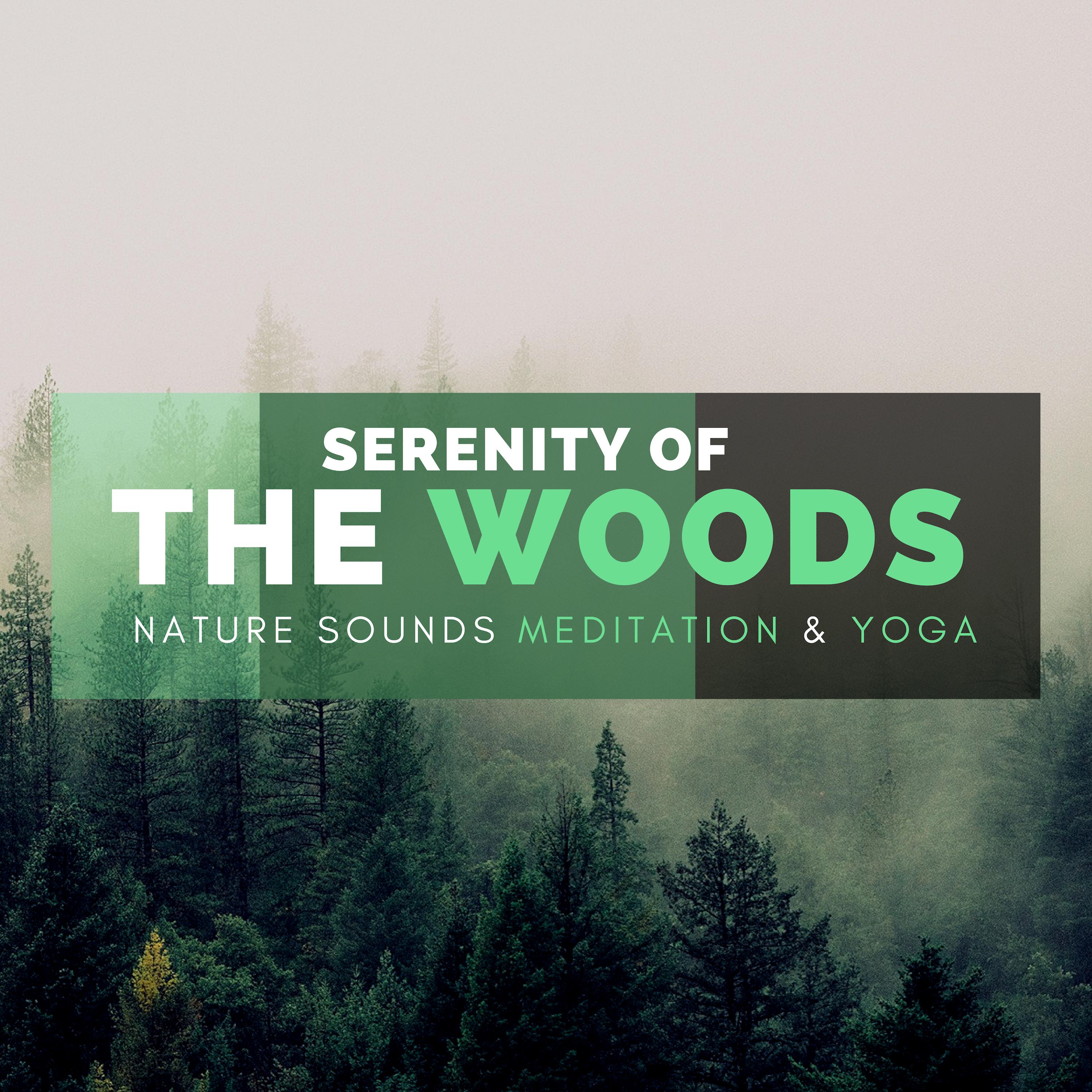 Serenity Of The Woods - Nature Sounds For Meditation & Yoga